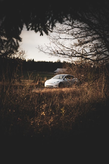 A car parked in the middle of a field