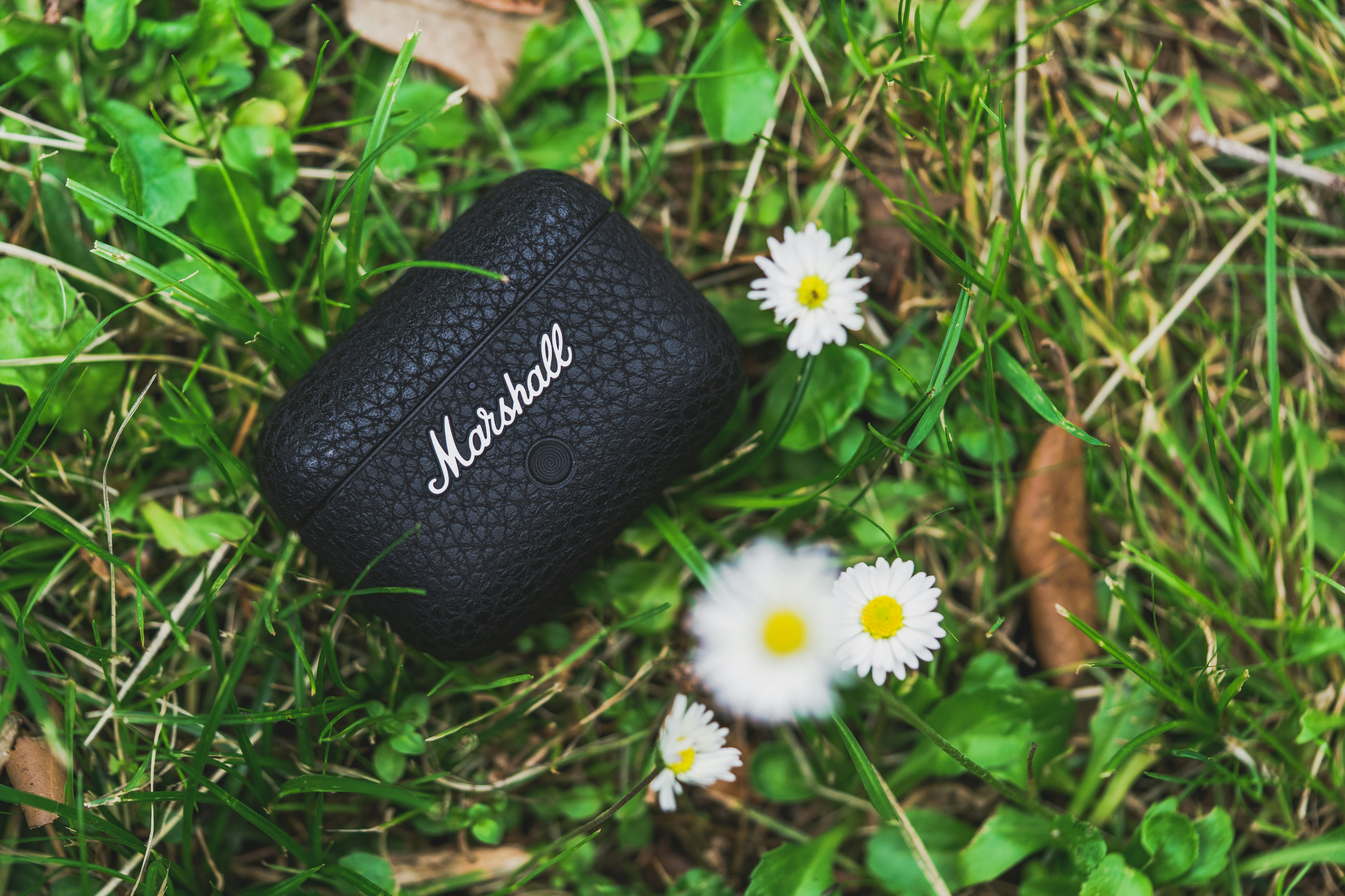 A black speaker sitting on top of a lush green field