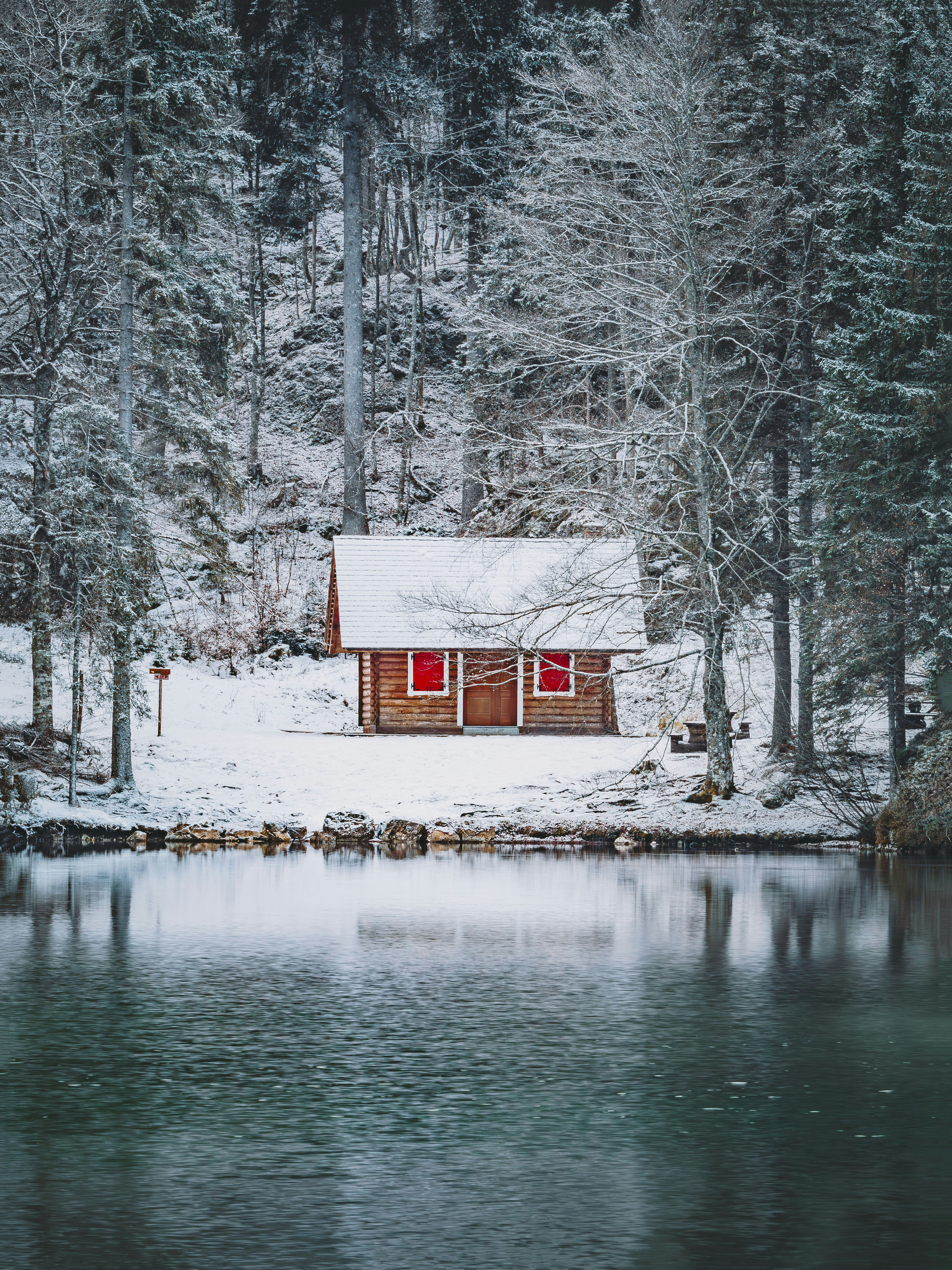 Photo by merlin_photo