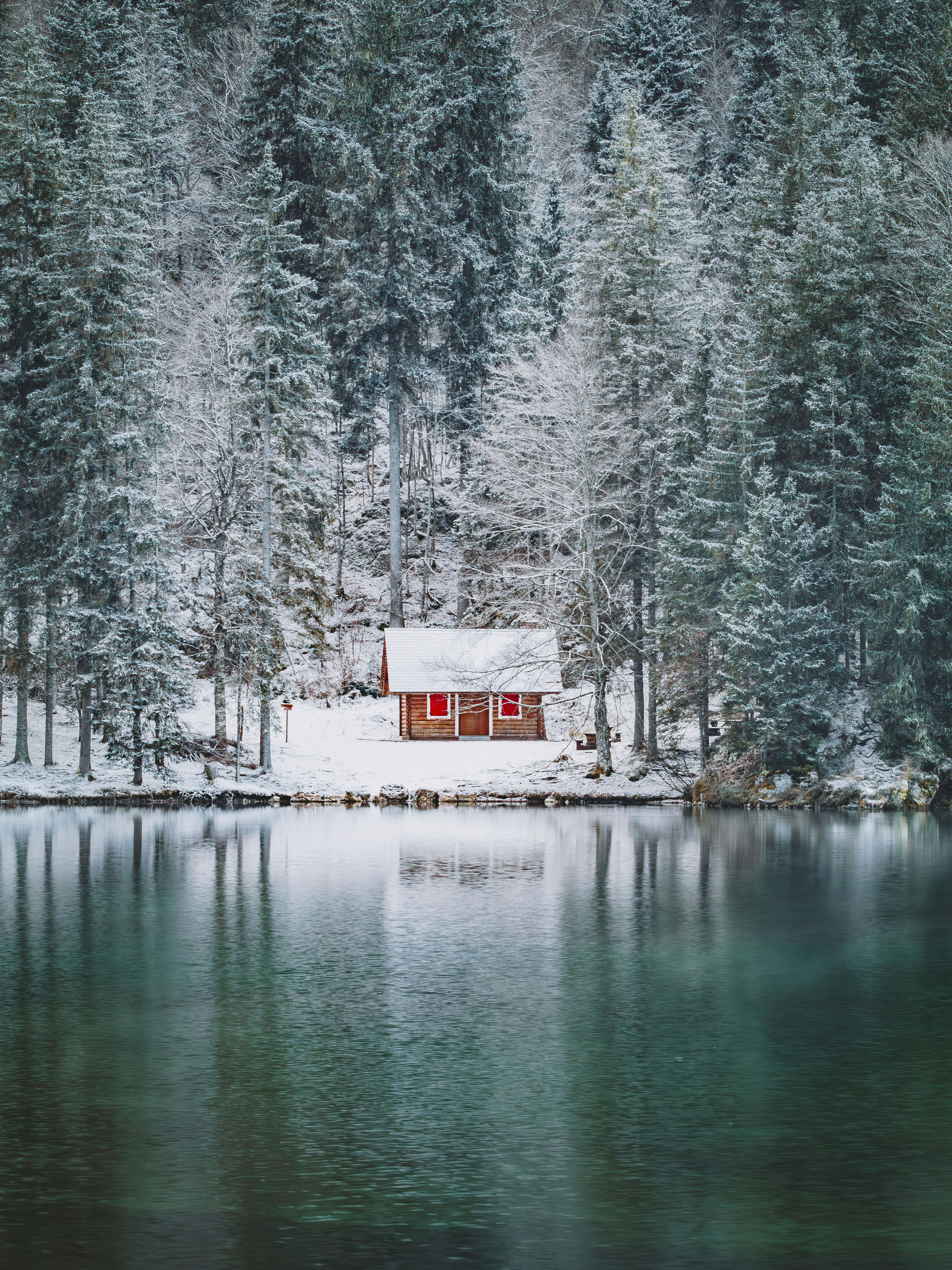 Photo by merlin_photo