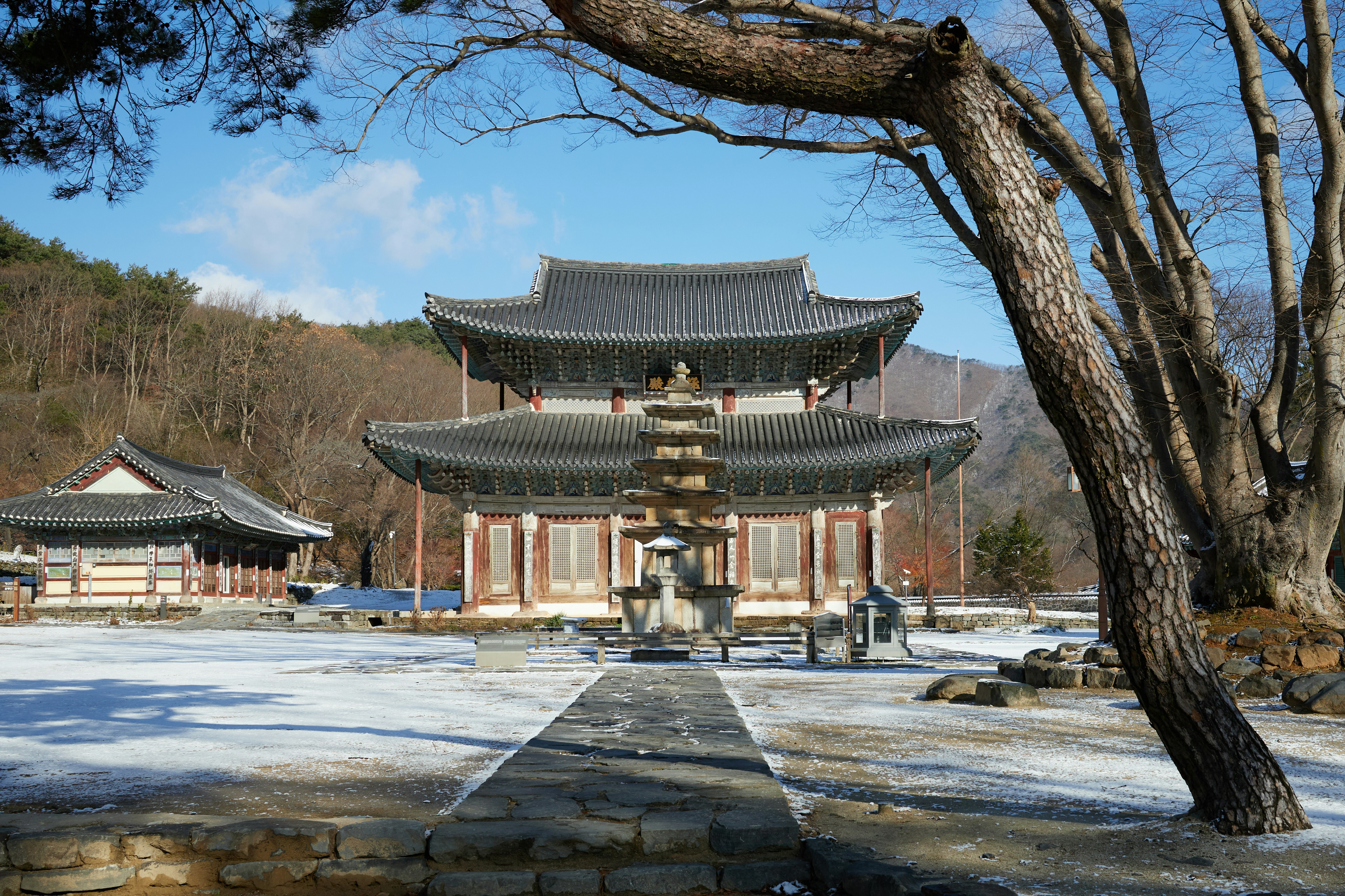완도군청 여권발급 여권 사진 검증된 정보로 구성된 블로그 헤더 이미지 - 독자 이해를 위한 이미지