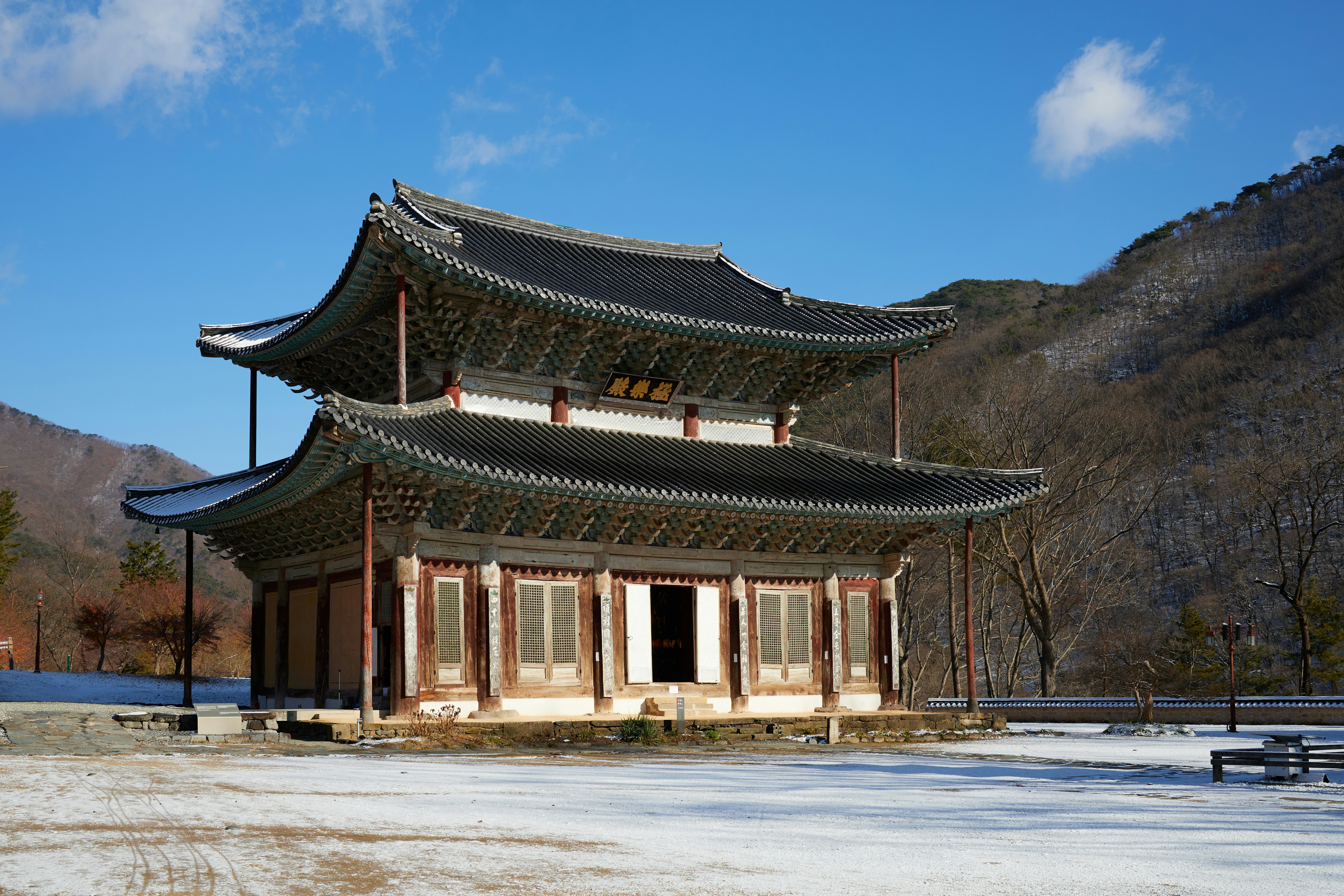 석창포