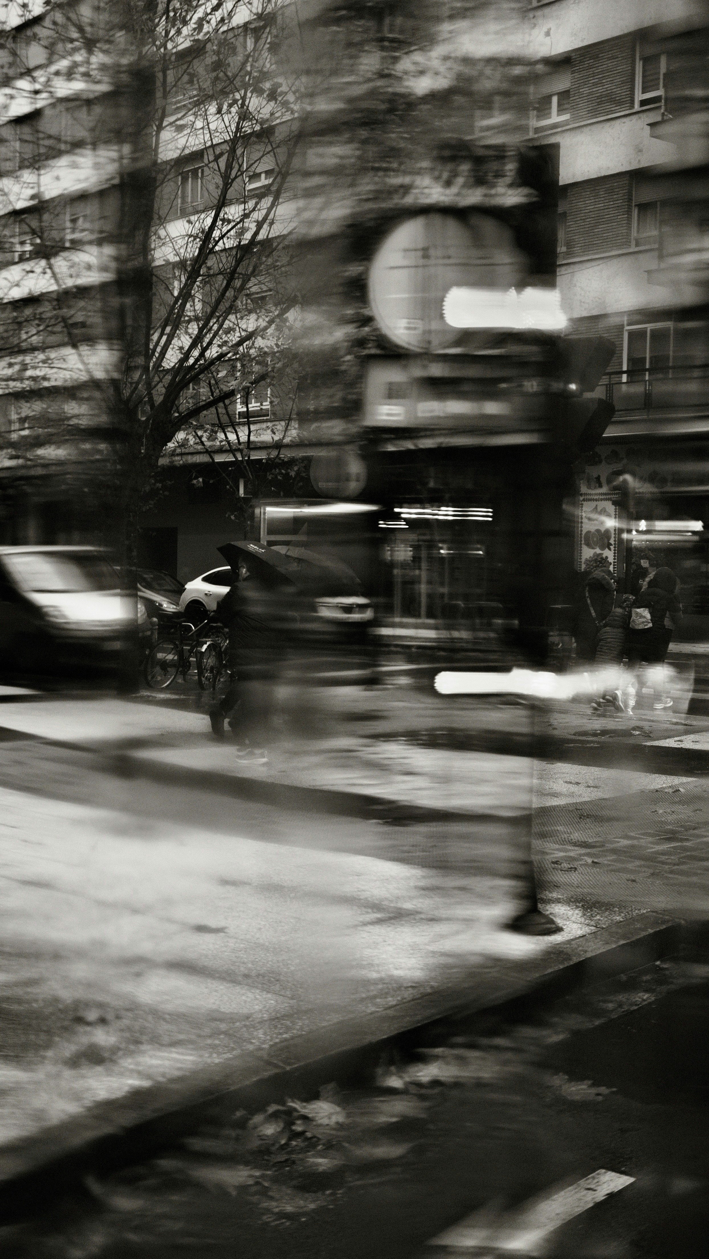 Photo by julenreyazcona