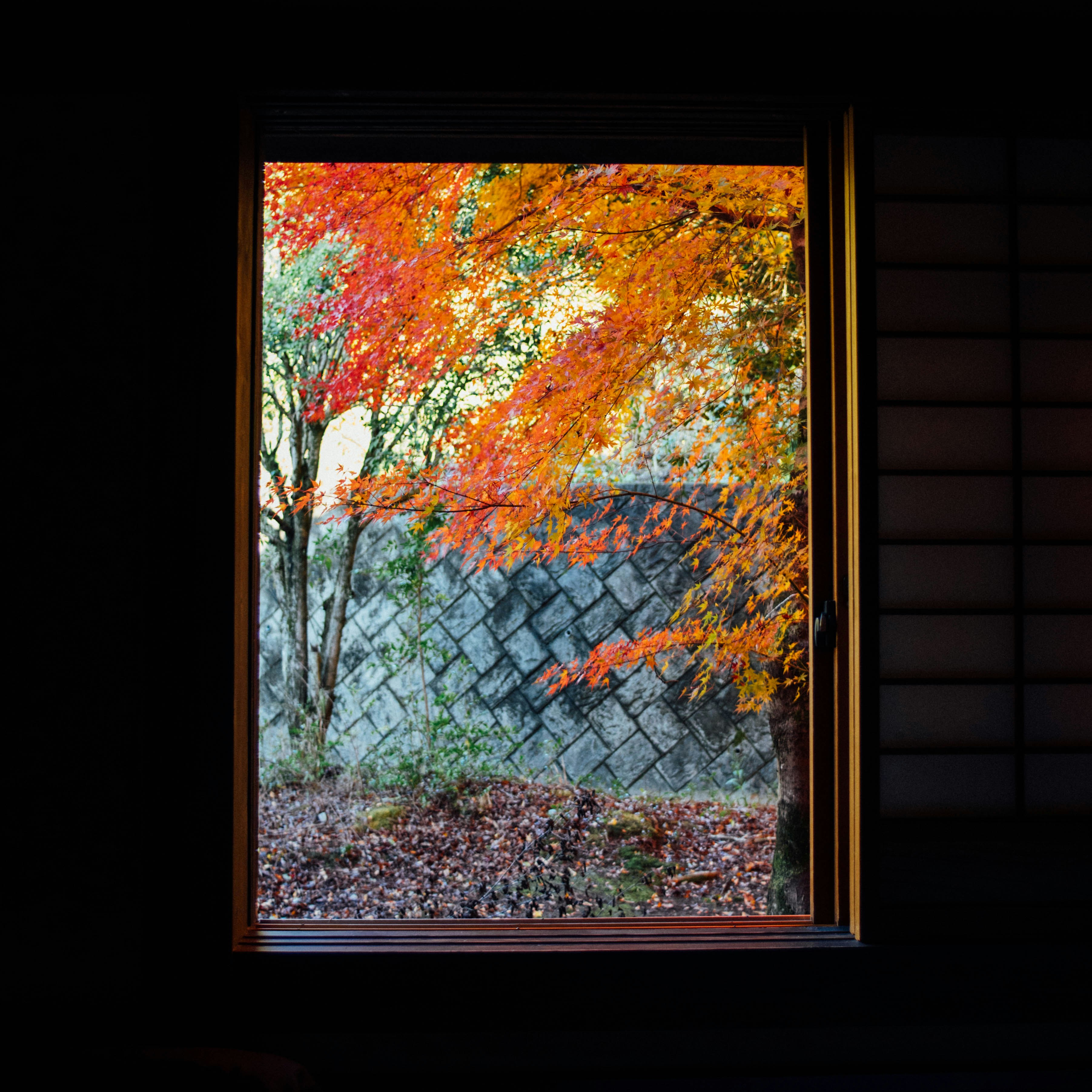 Traditional Japanese Ryokan
