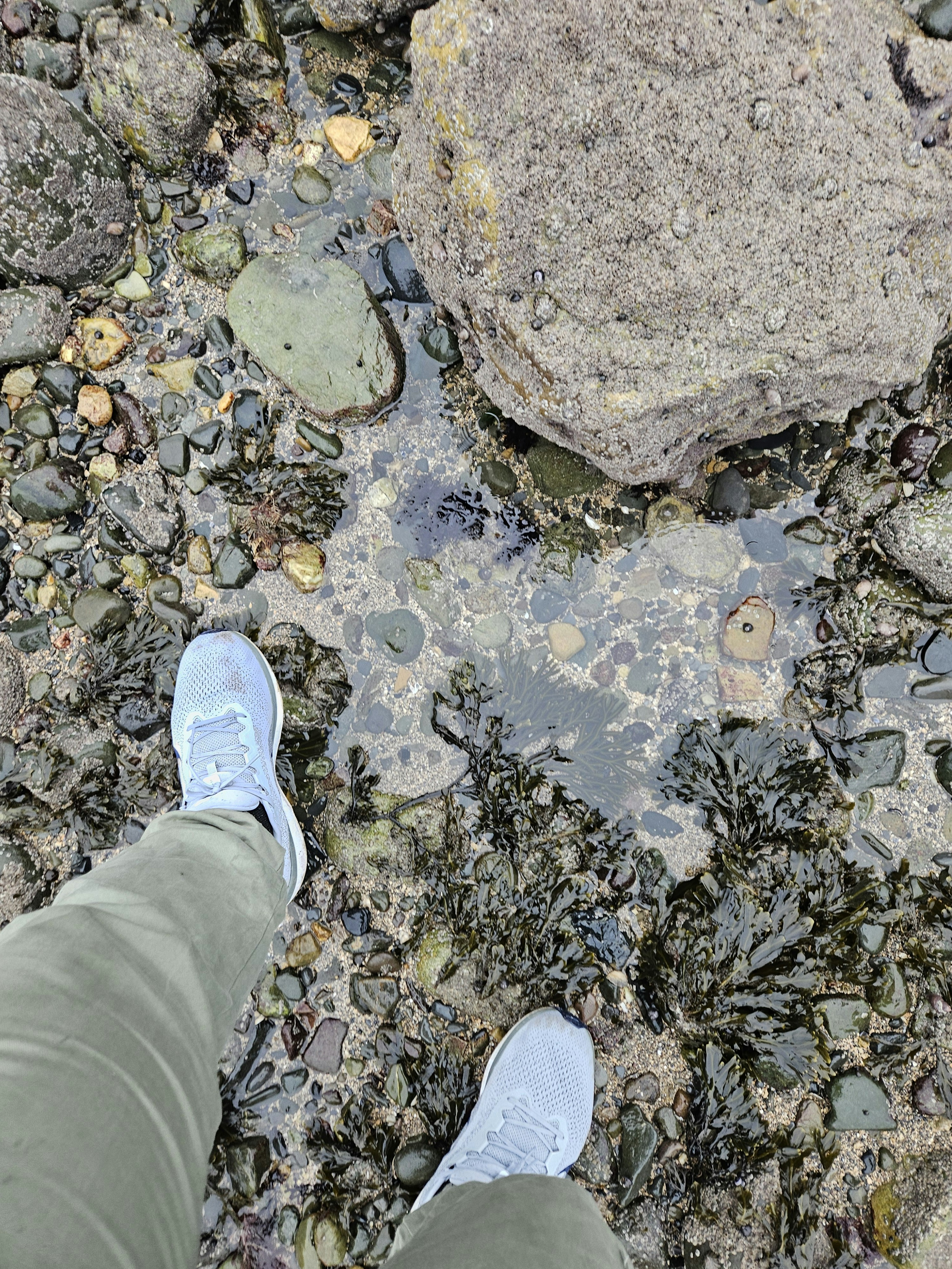 Una persona in piedi su un terreno coperto di roccia
