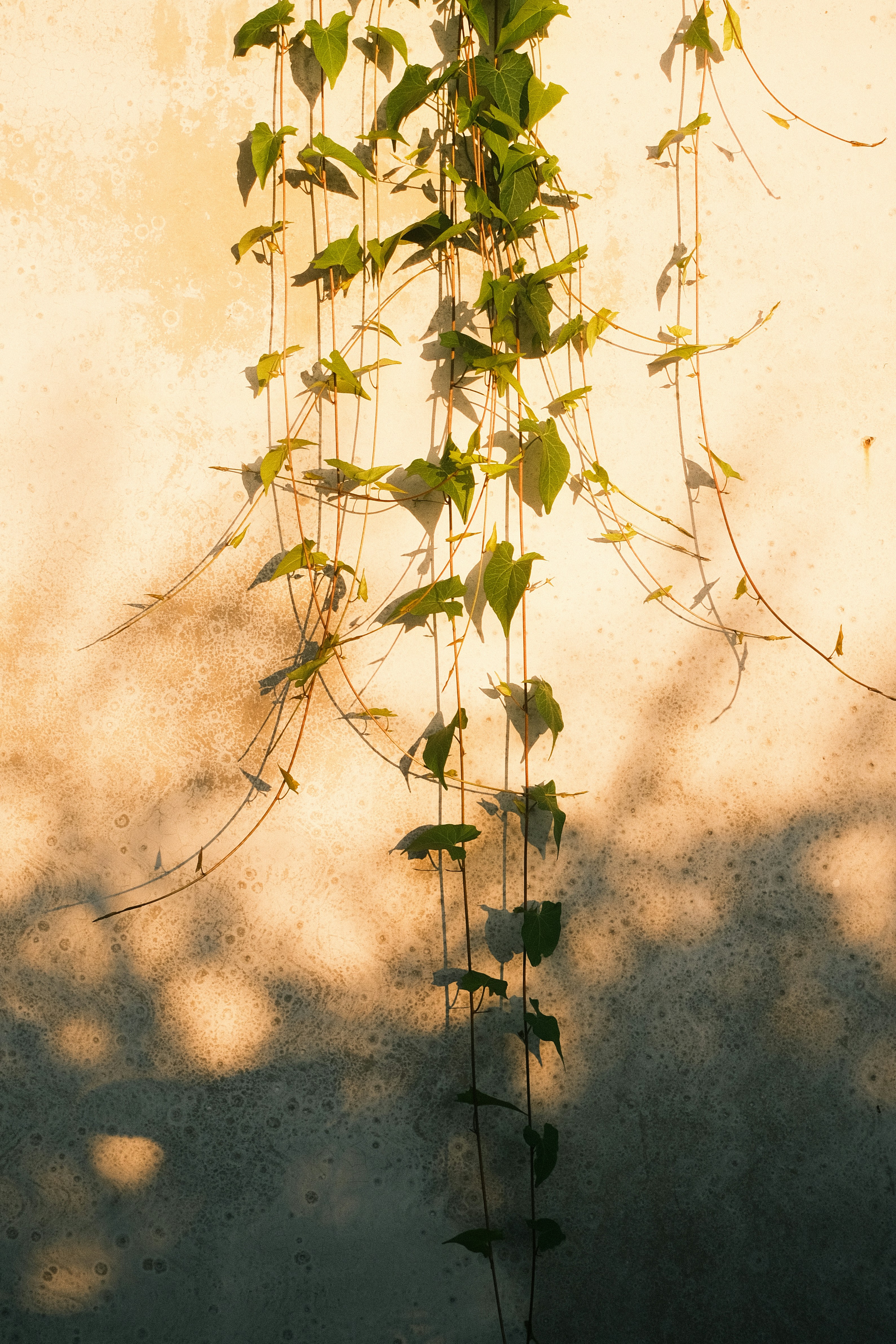 Photo by visualsbying