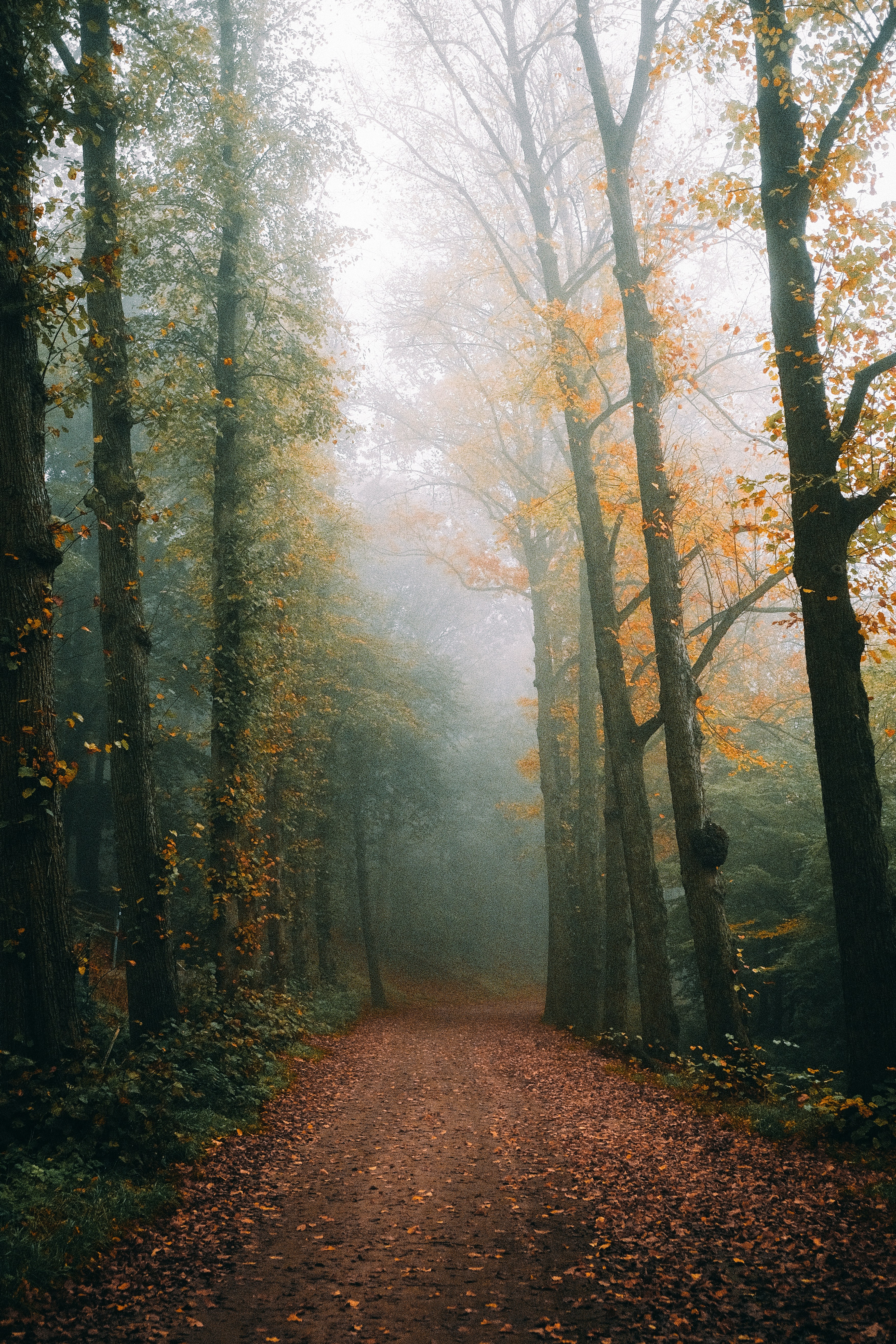 Photo by visualsbying