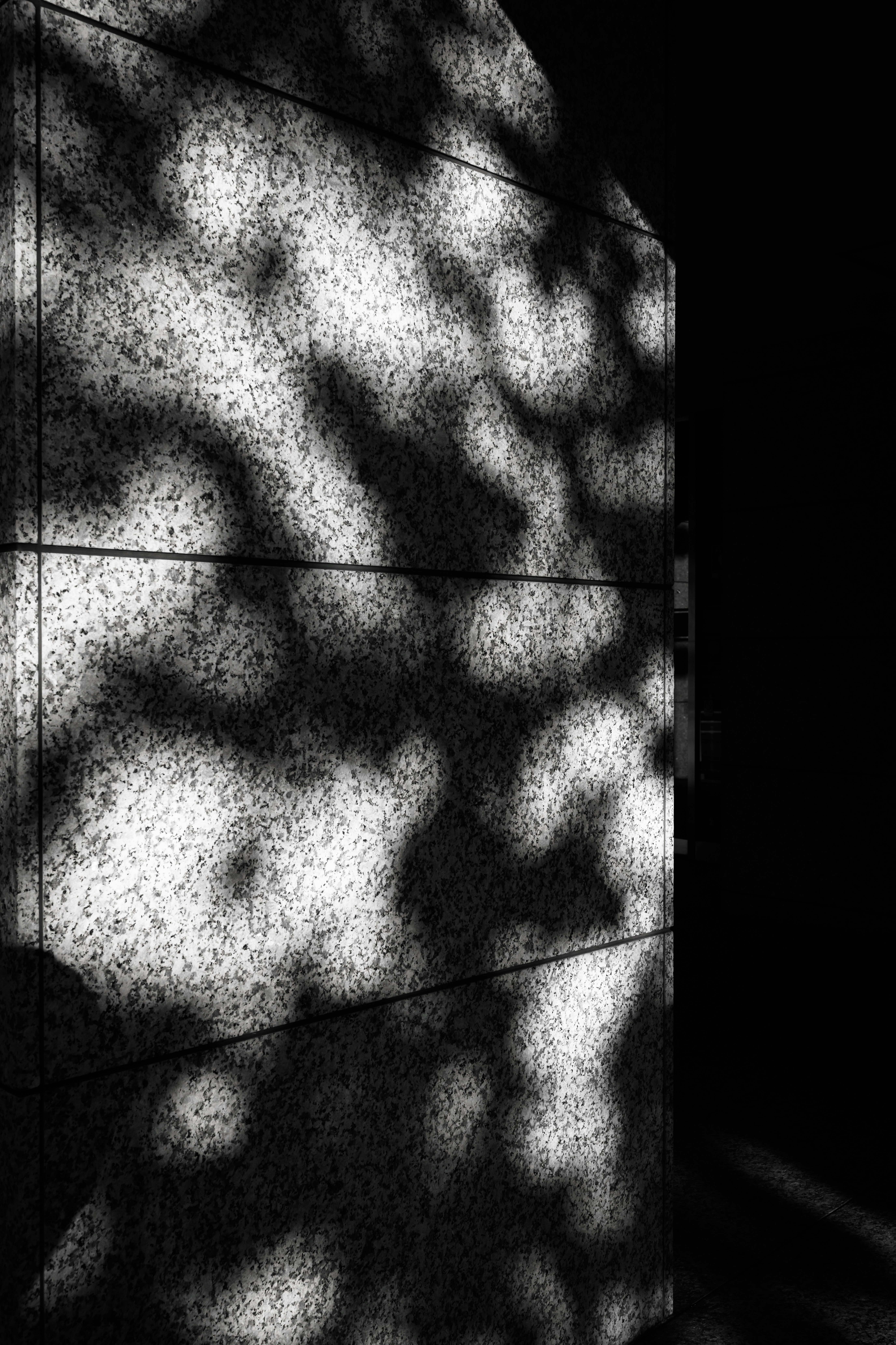 Photo by hayato_no_kiroku