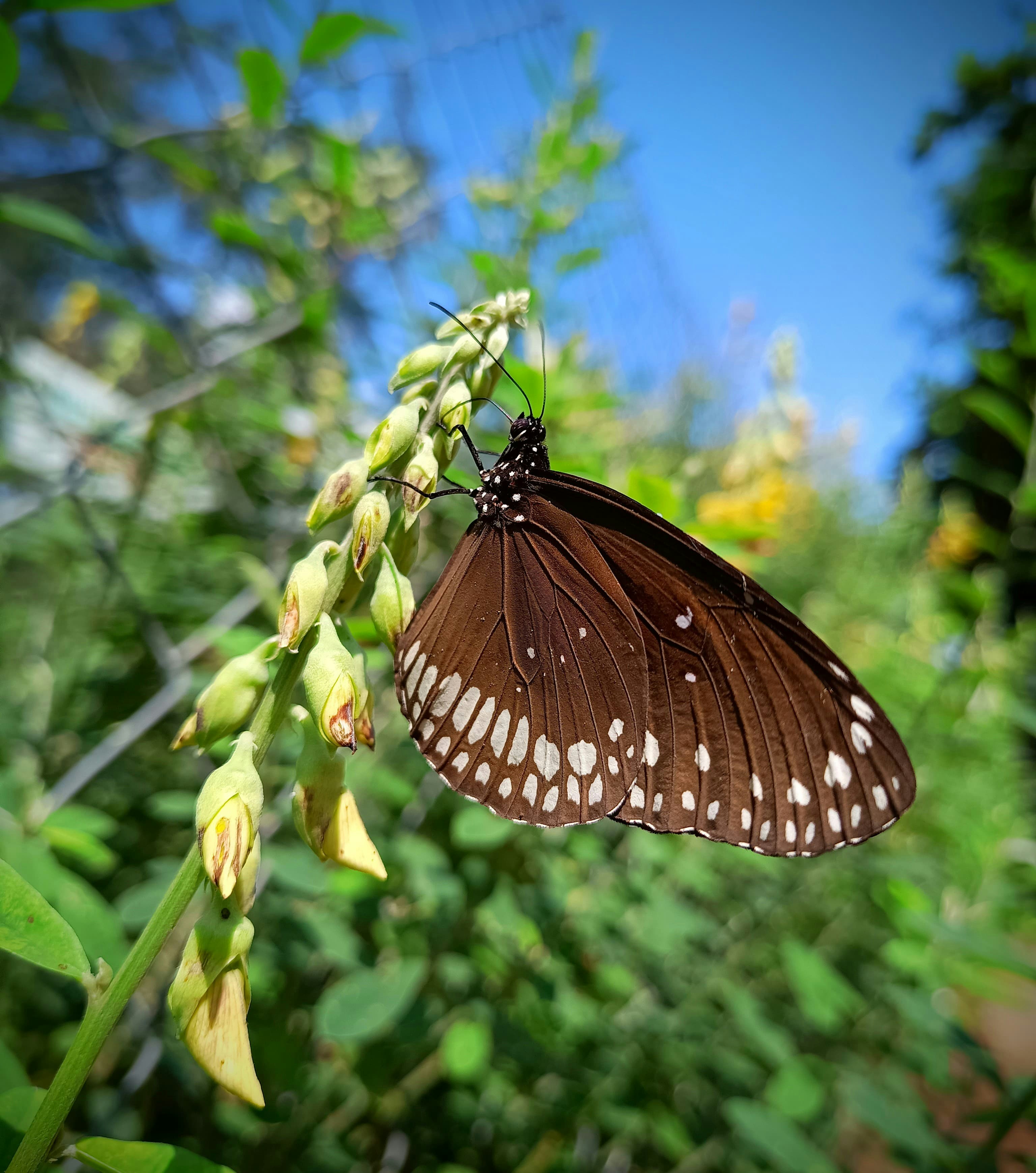 Photo by floatingfish8