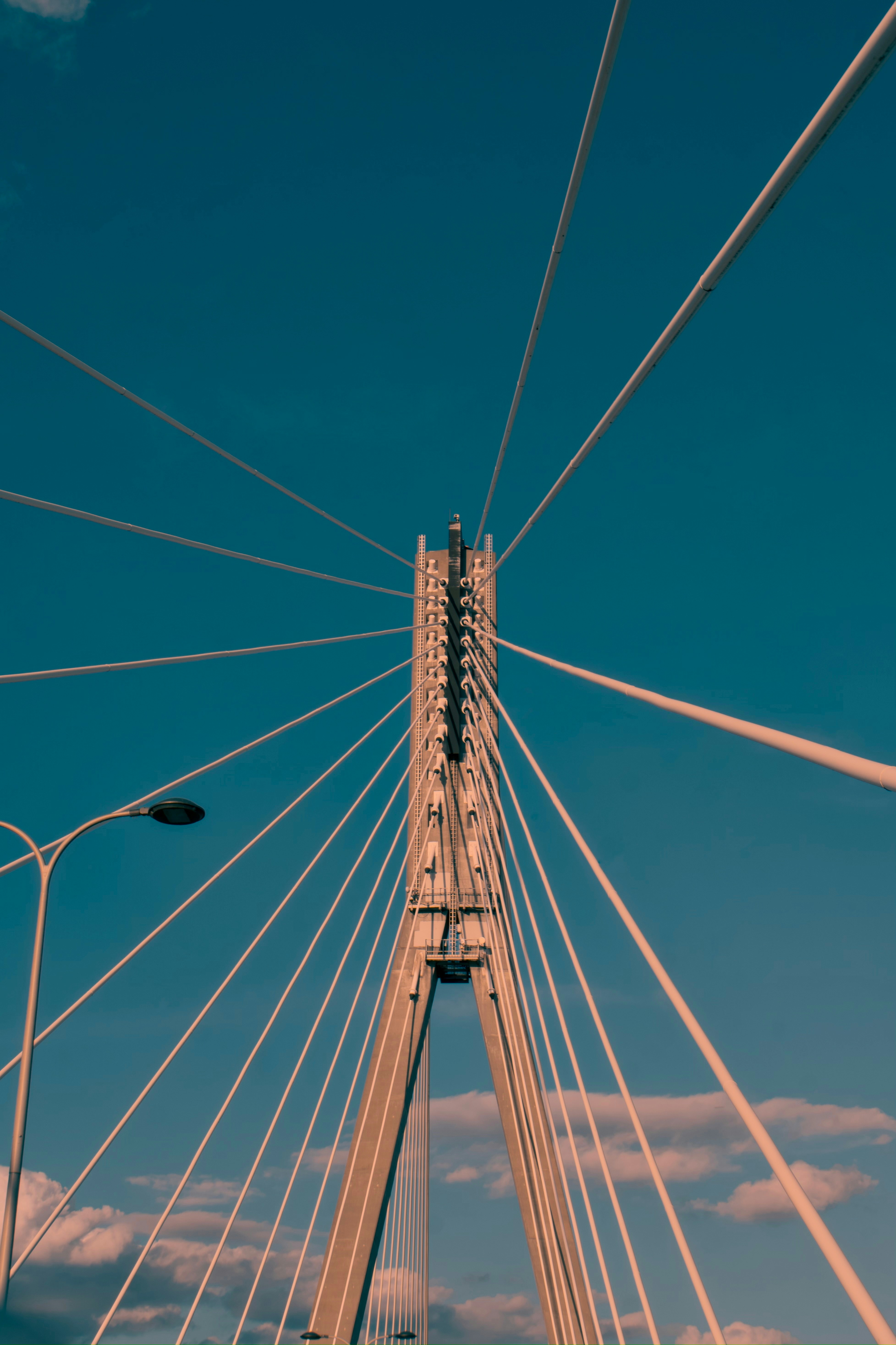 Ein veröffentlichtes Foto