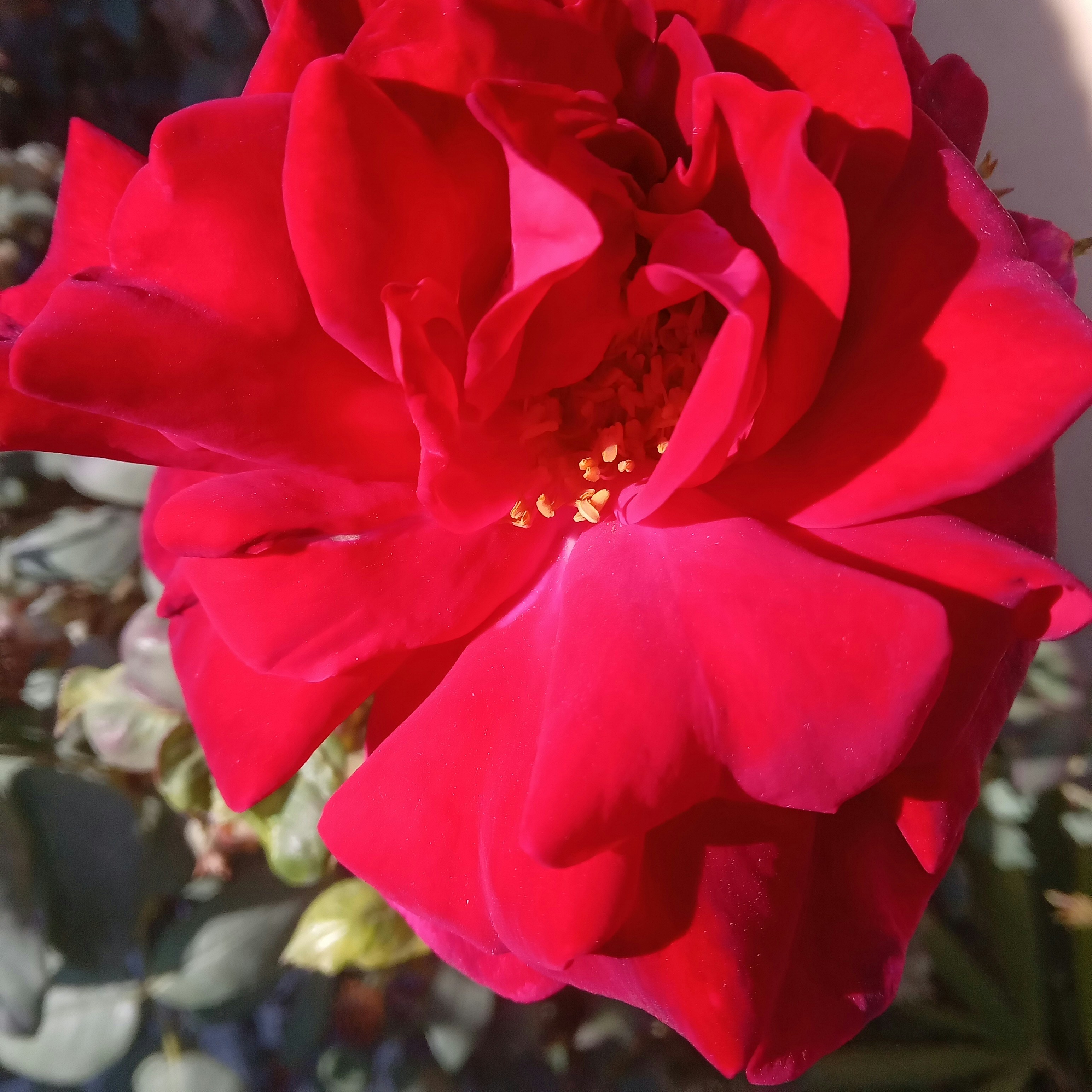 Riaz Khilji (@riazkhilji) | Unsplash Photo Community