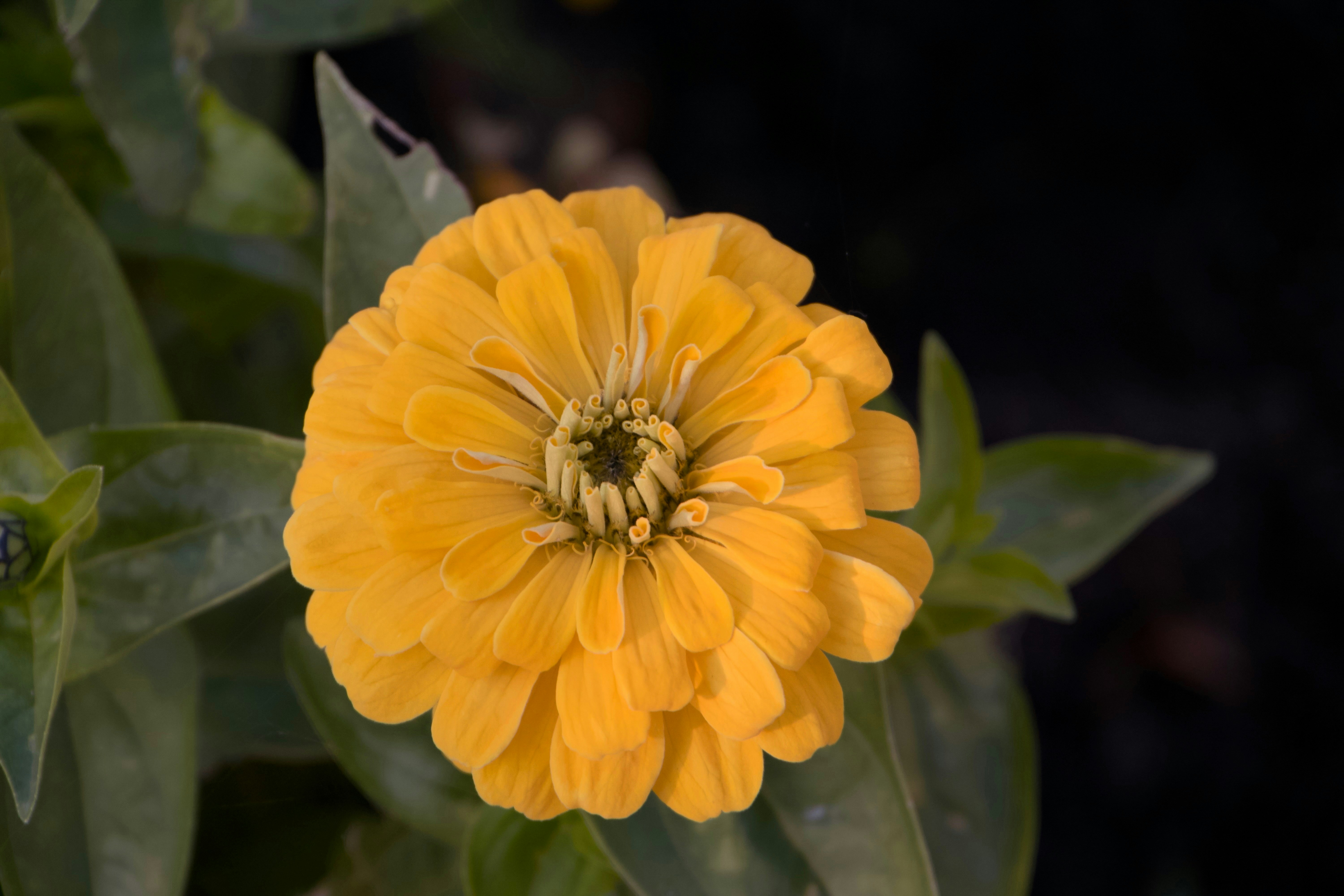 Ein veröffentlichtes Foto