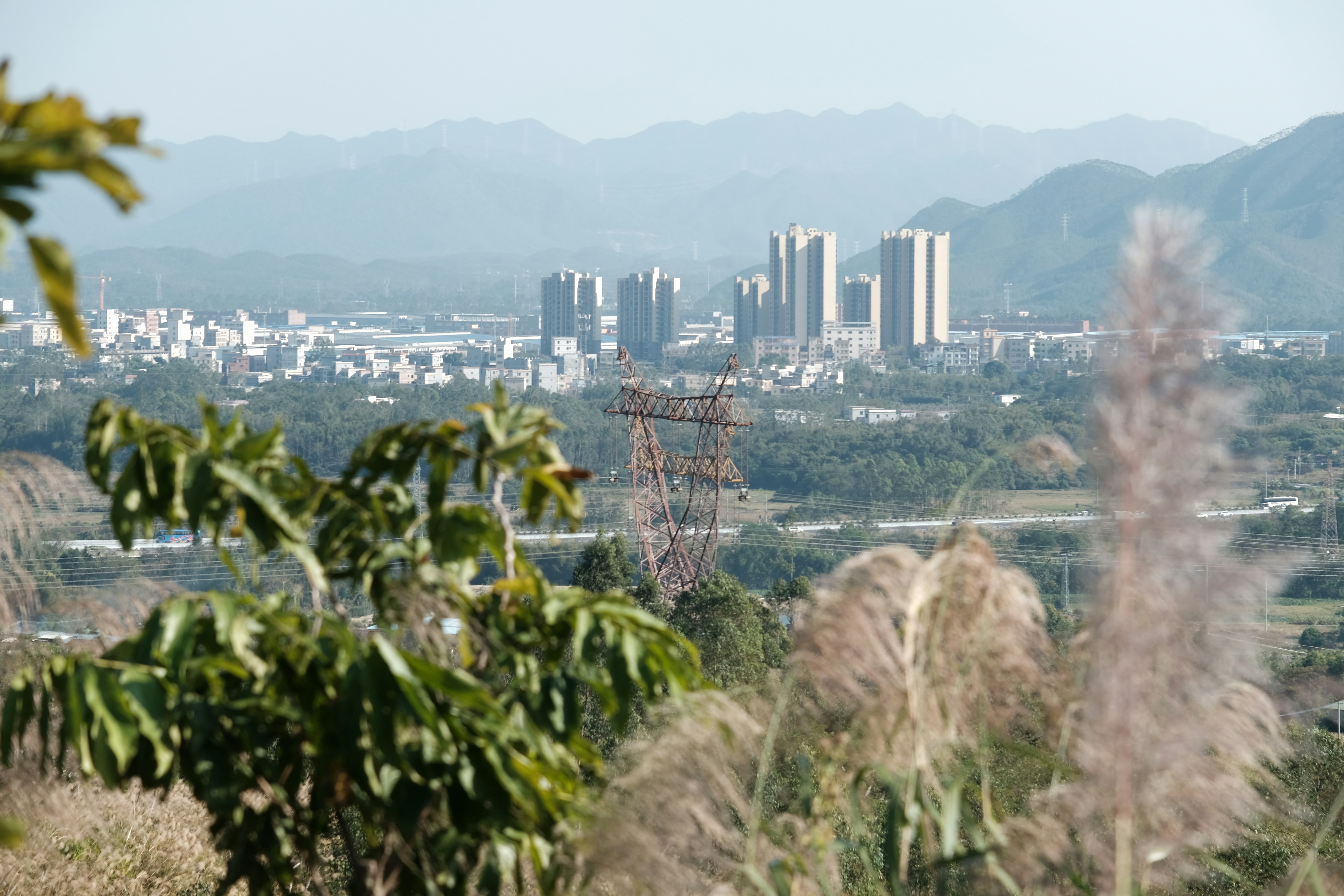 Containers in San Tan Valley, AZ