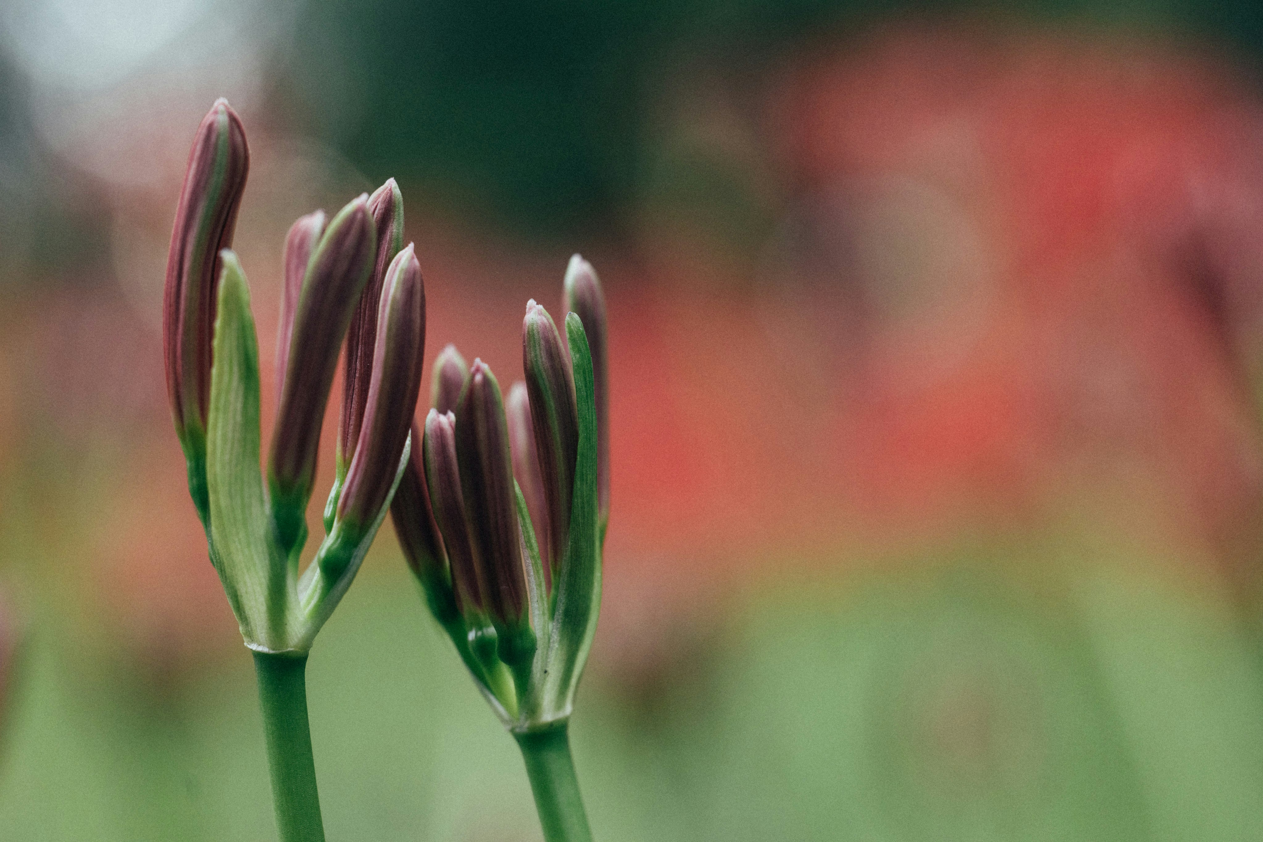 Photo by tsuyoshikozu