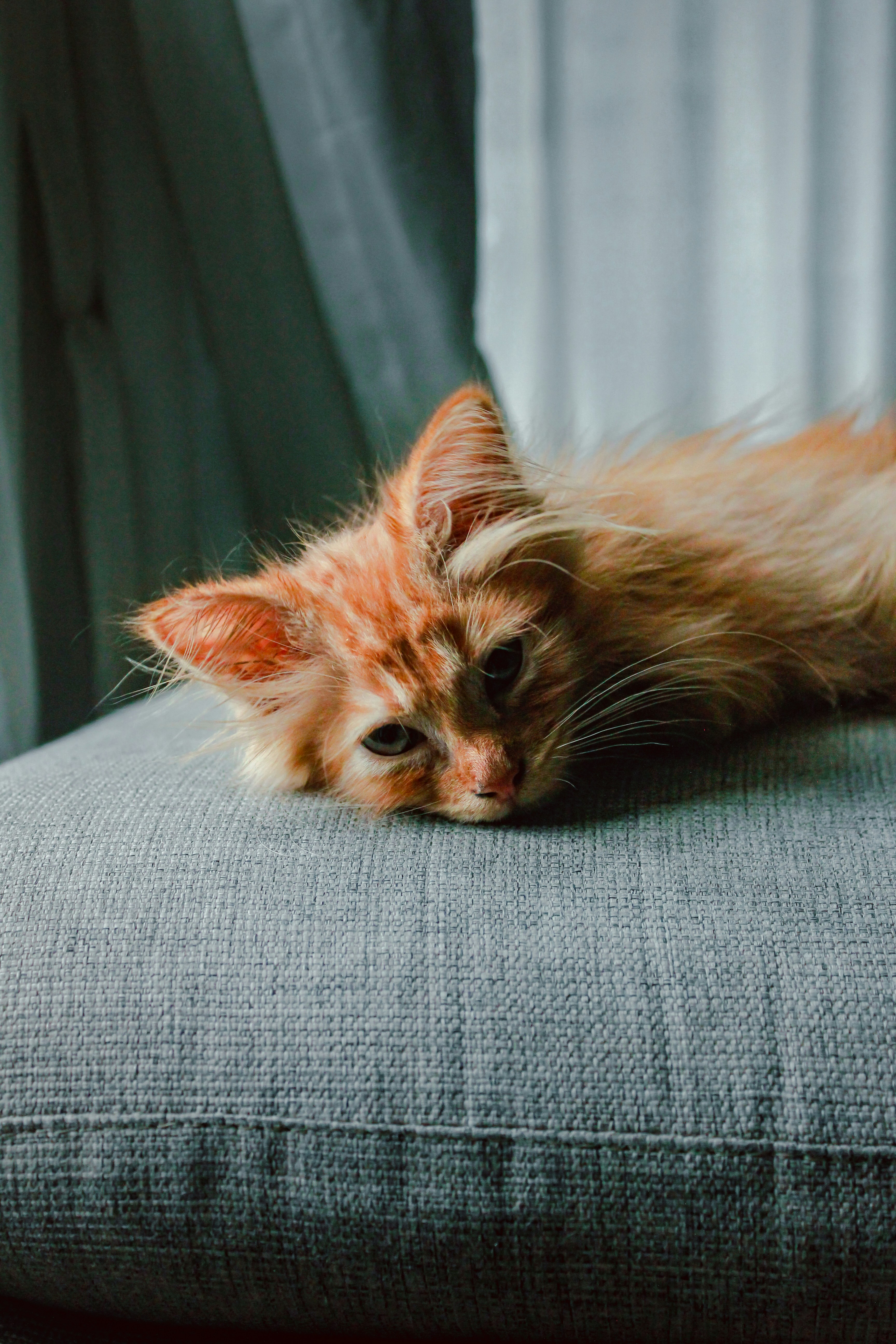 Seeking Familiar Spaces for Comfort (image credits: unsplash)