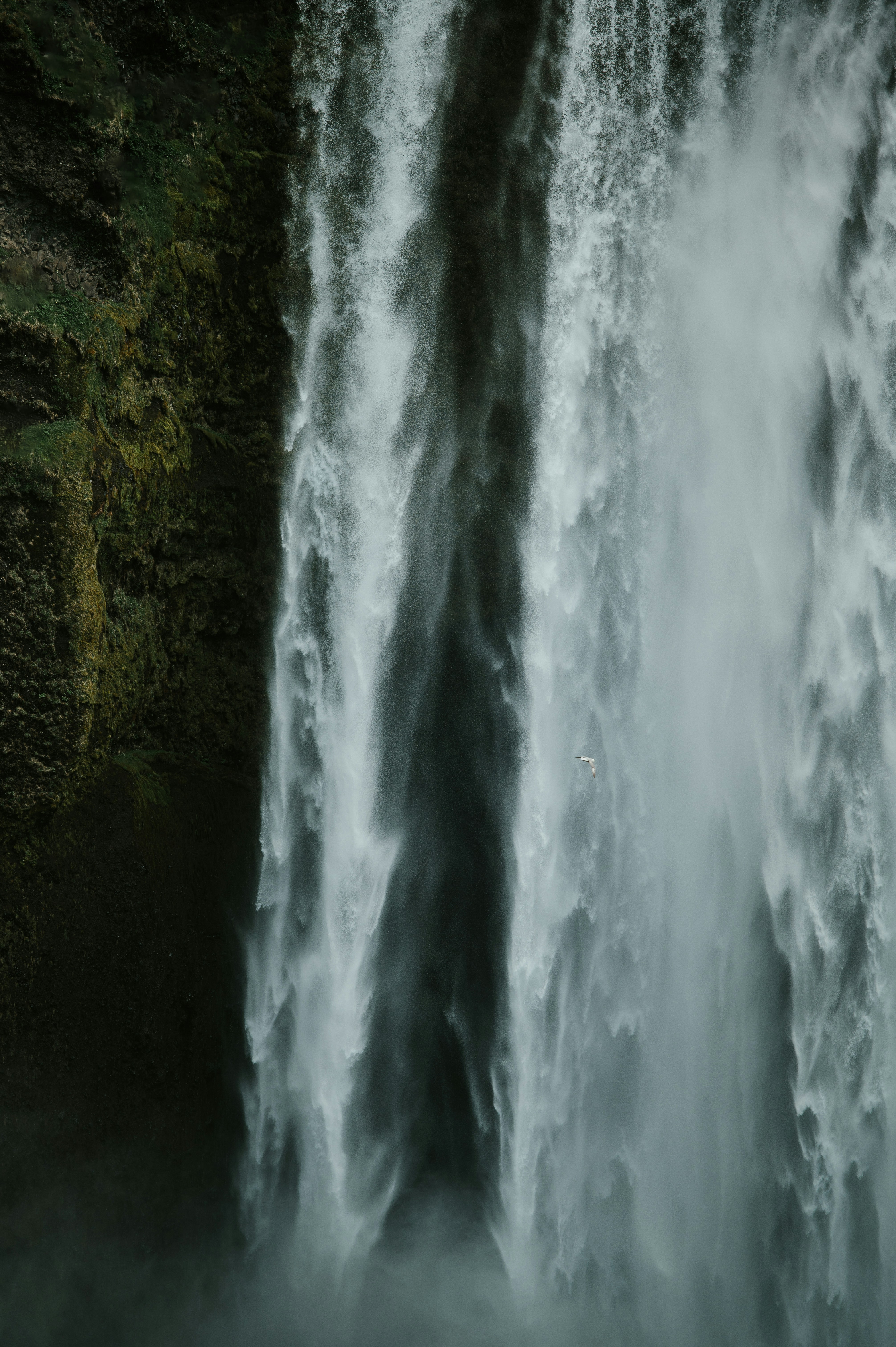 Photo by silassch_92