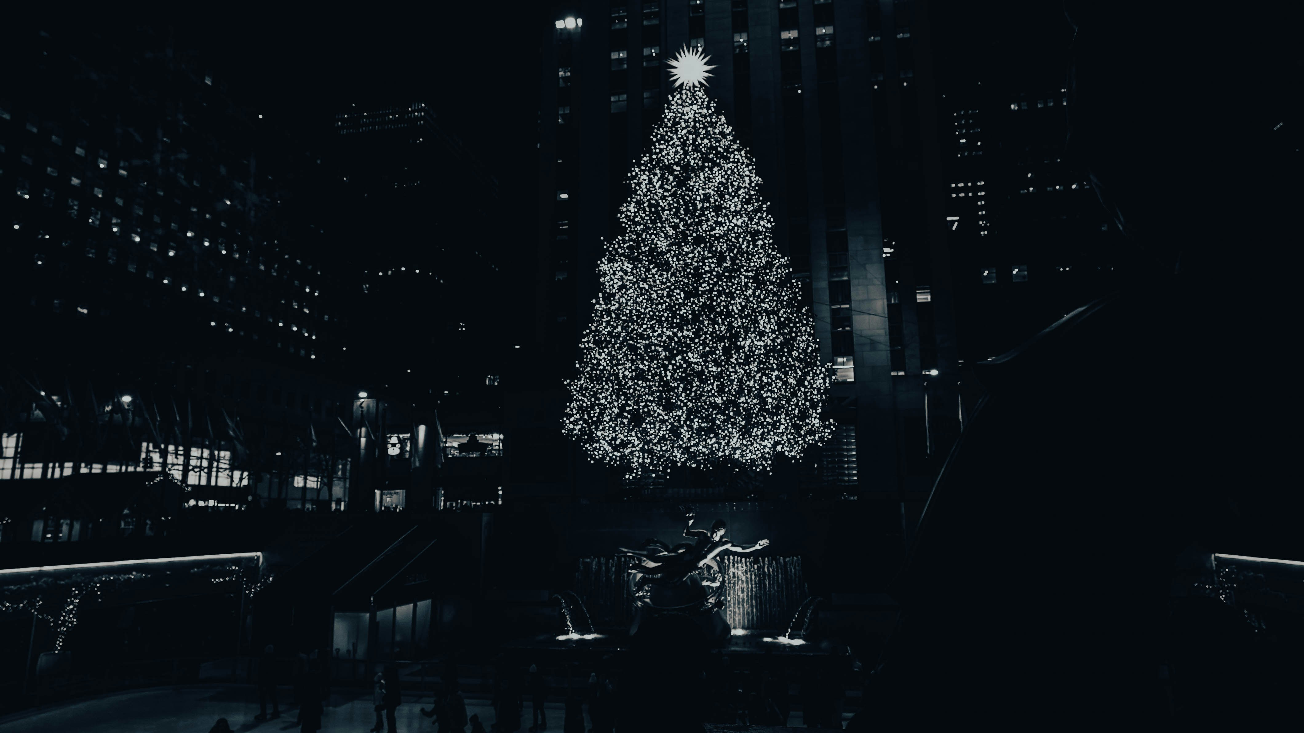 A black and white photo of a christmas tree