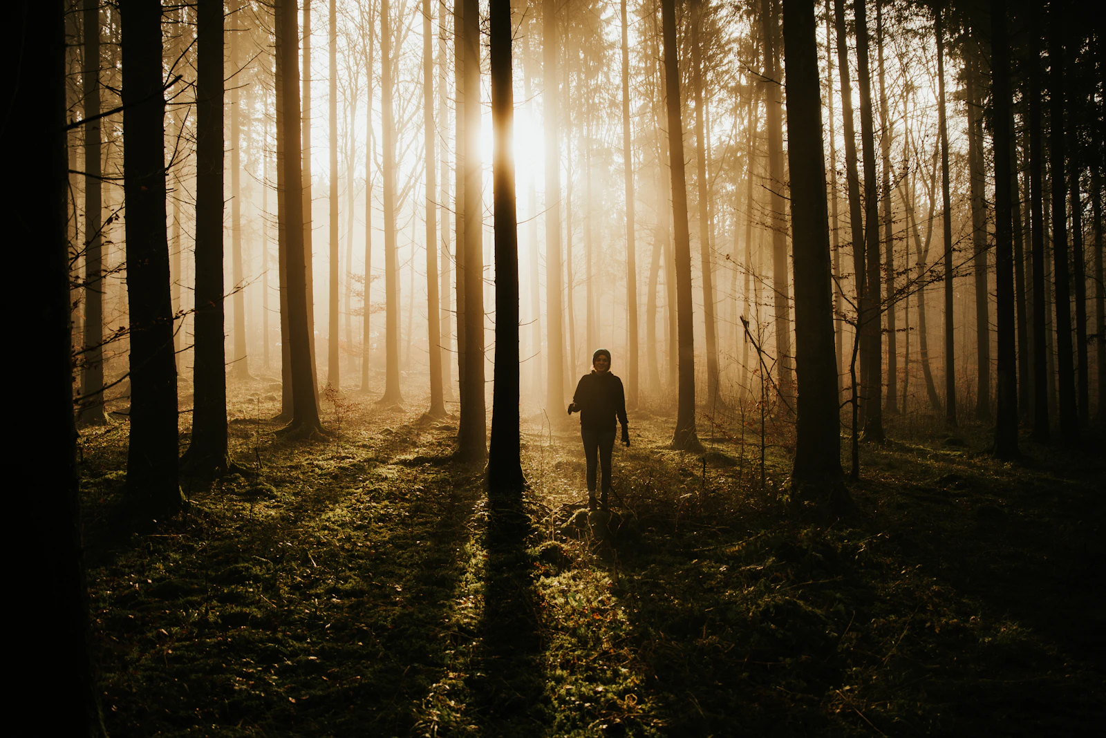 Person geht durch einen sonnigen Wald als Bewegung und Ortswechsel bei Rauchverlangen