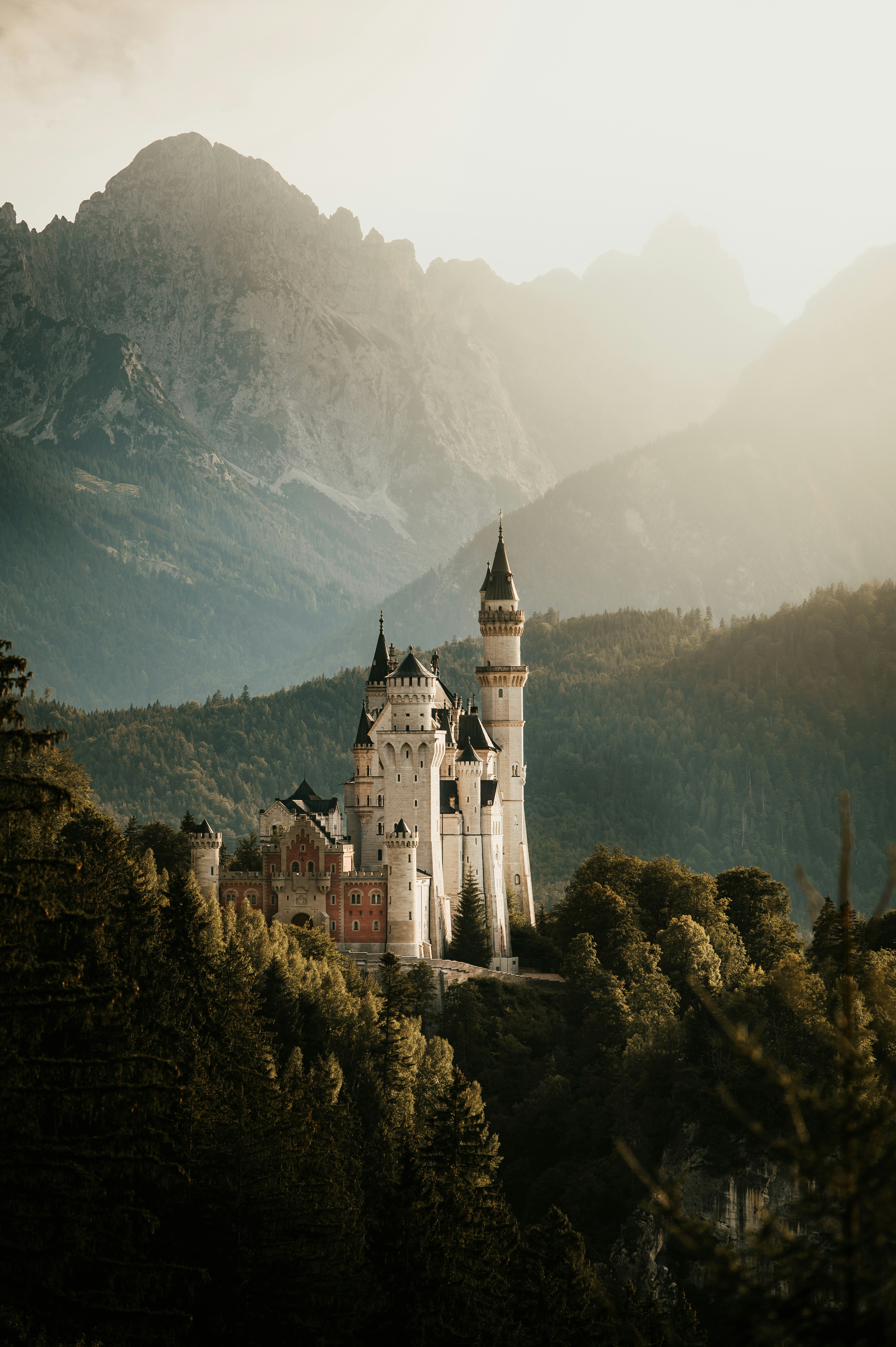 A castle in the middle of a forest with mountains in the background
