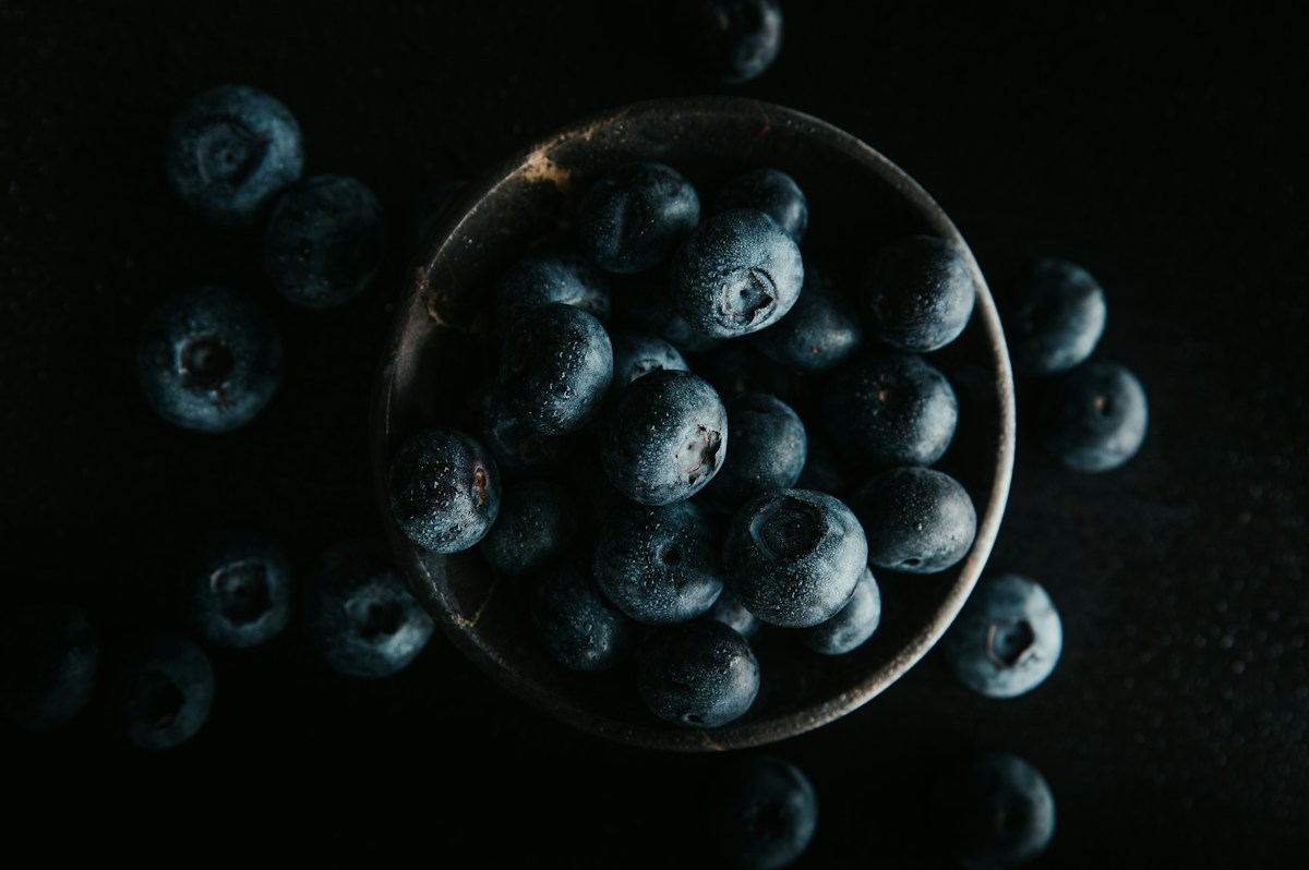 Heidelbeeren in einer dunklen Schale, Nahaufnahme