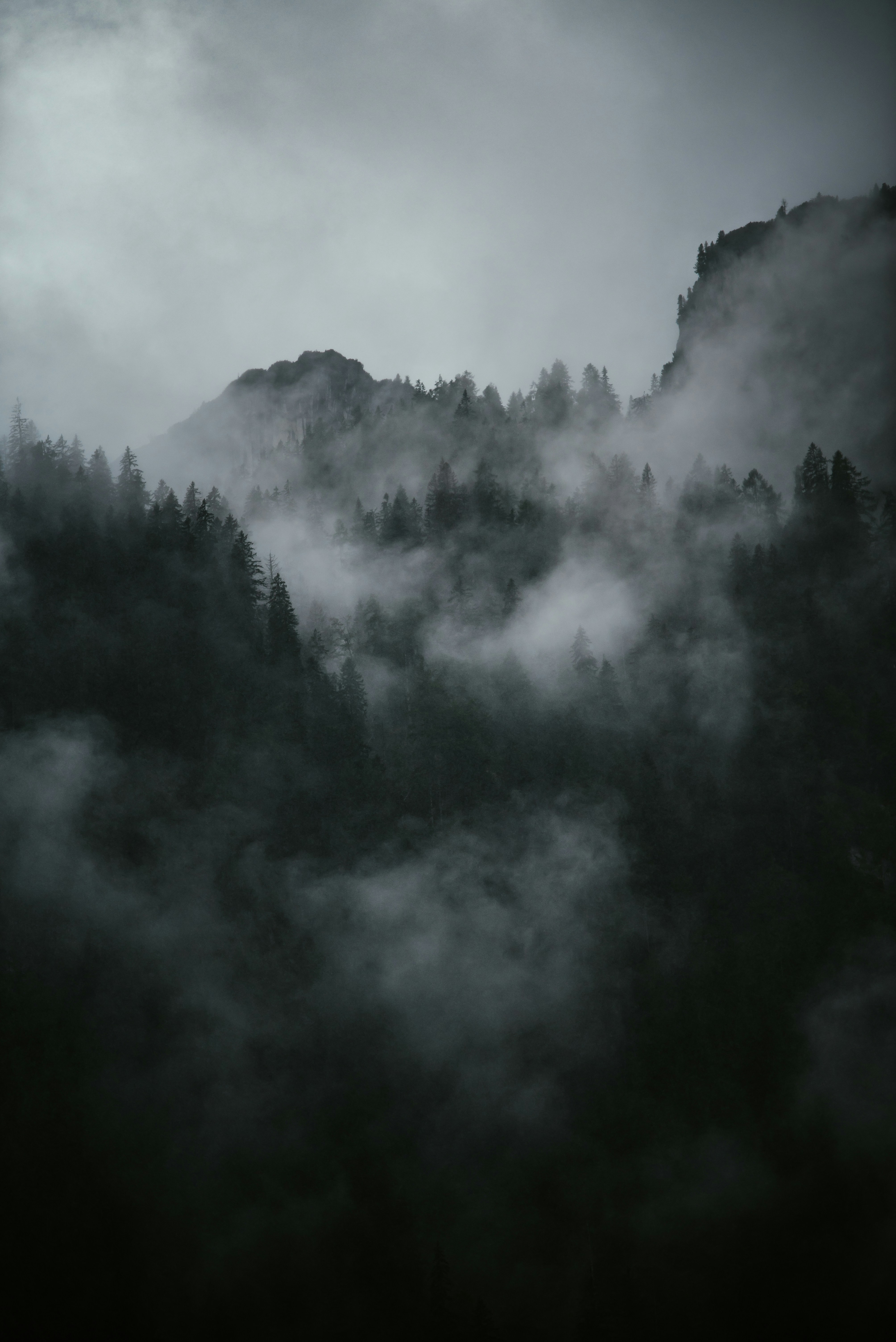 Photo by silassch_92