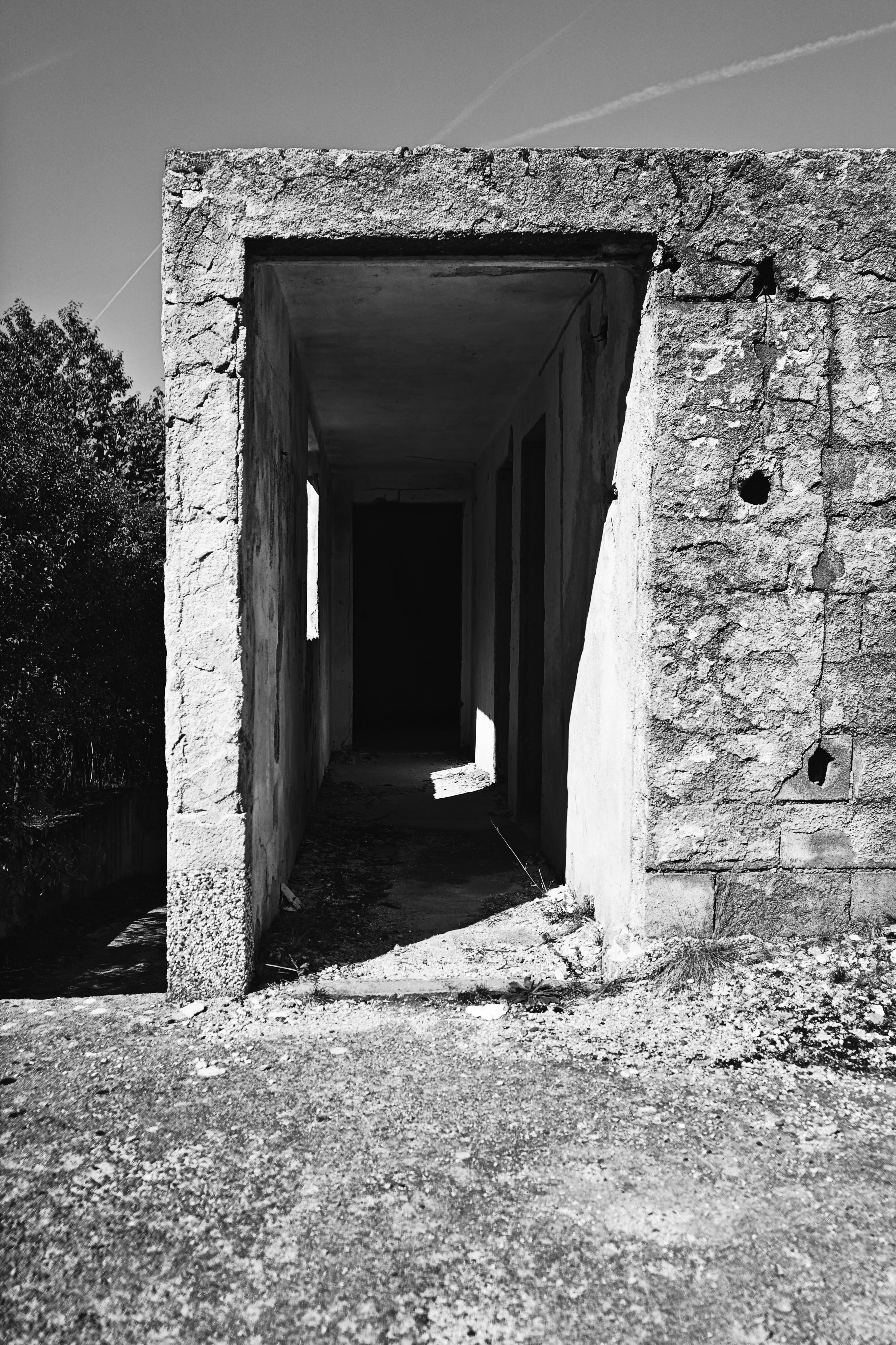 Photo by nedimshoots