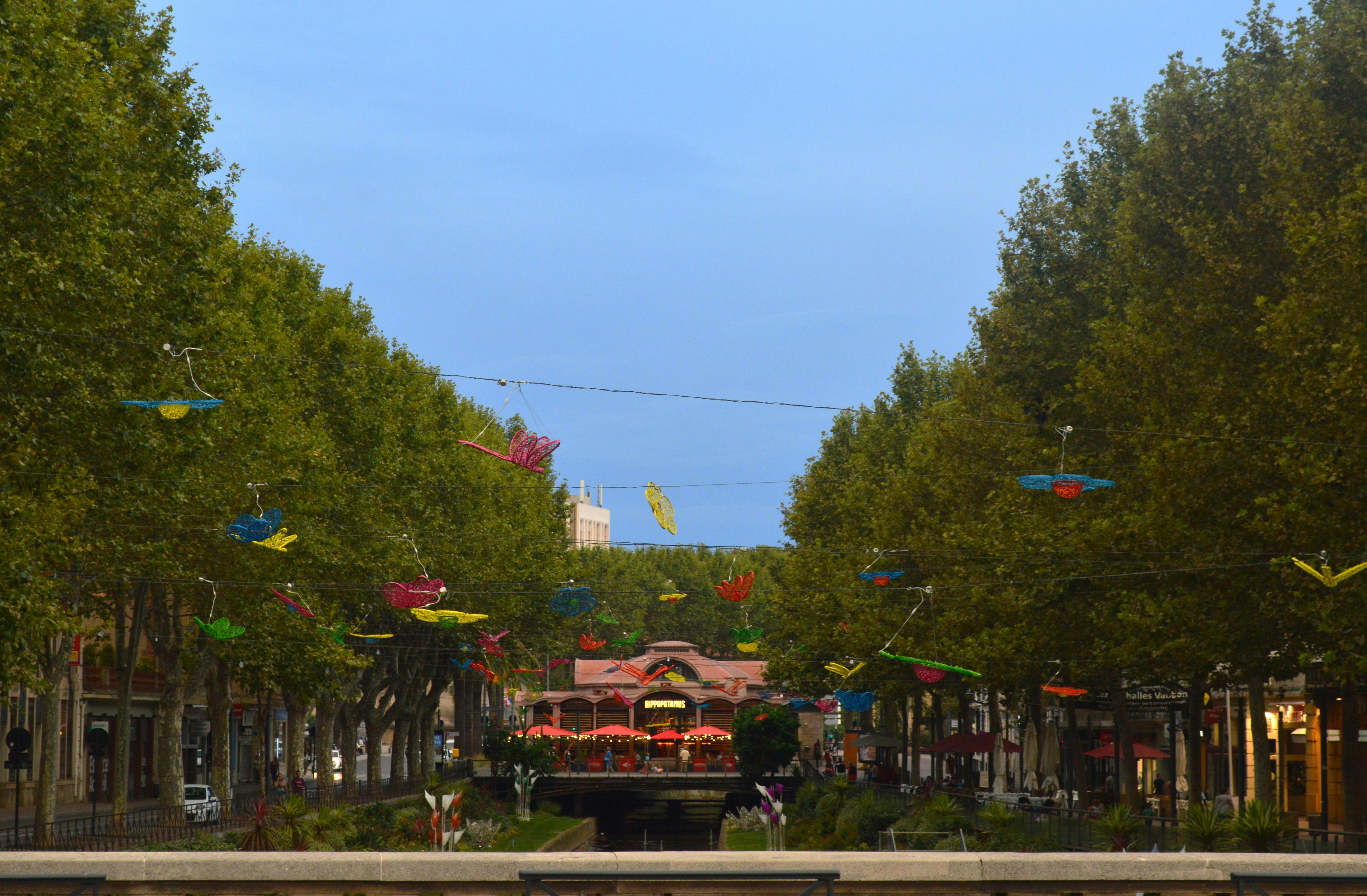 A street lined with lots of trees and kites