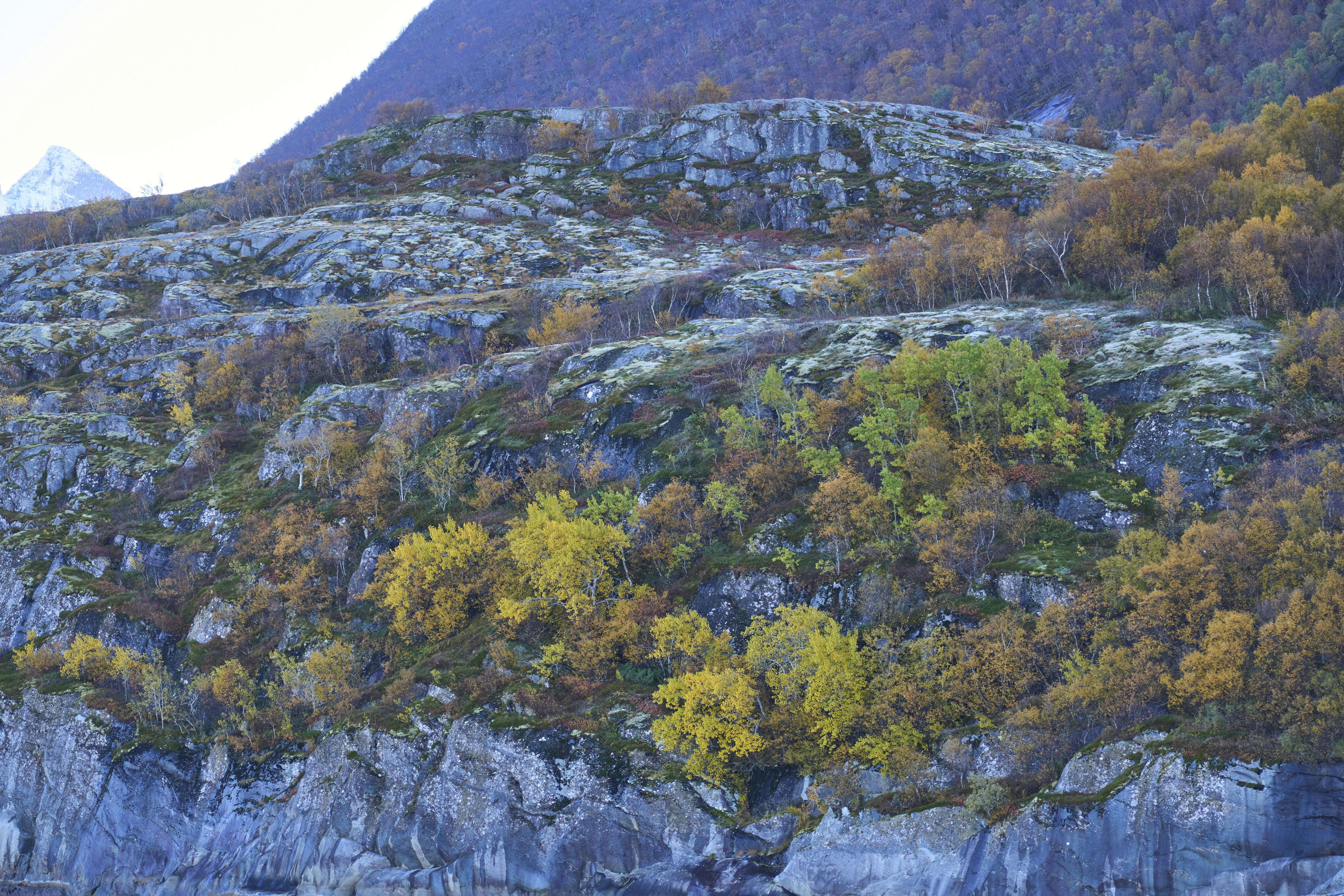 Photo by wolfgang_hasselmann