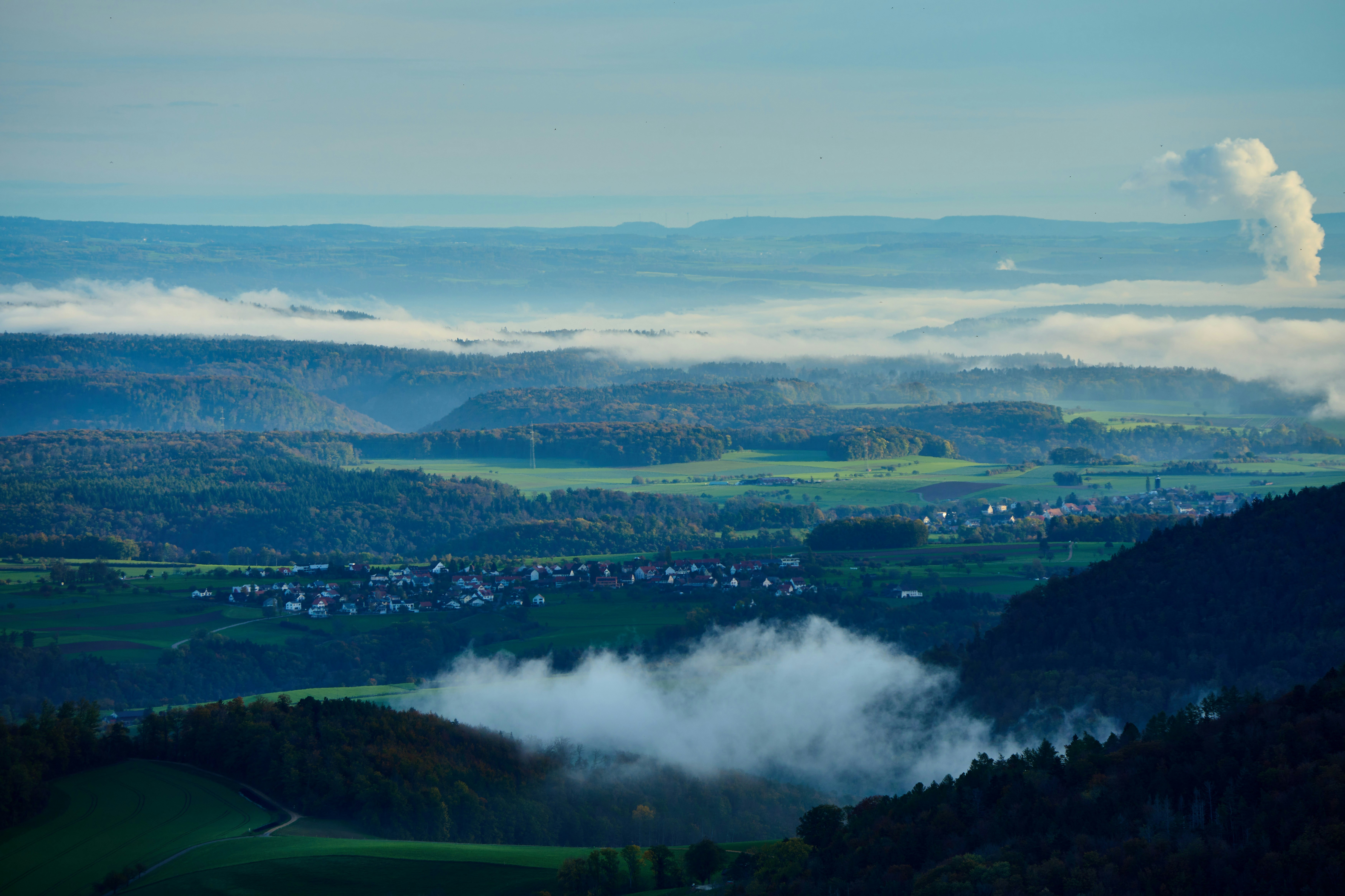 Photo by wolfgang_hasselmann