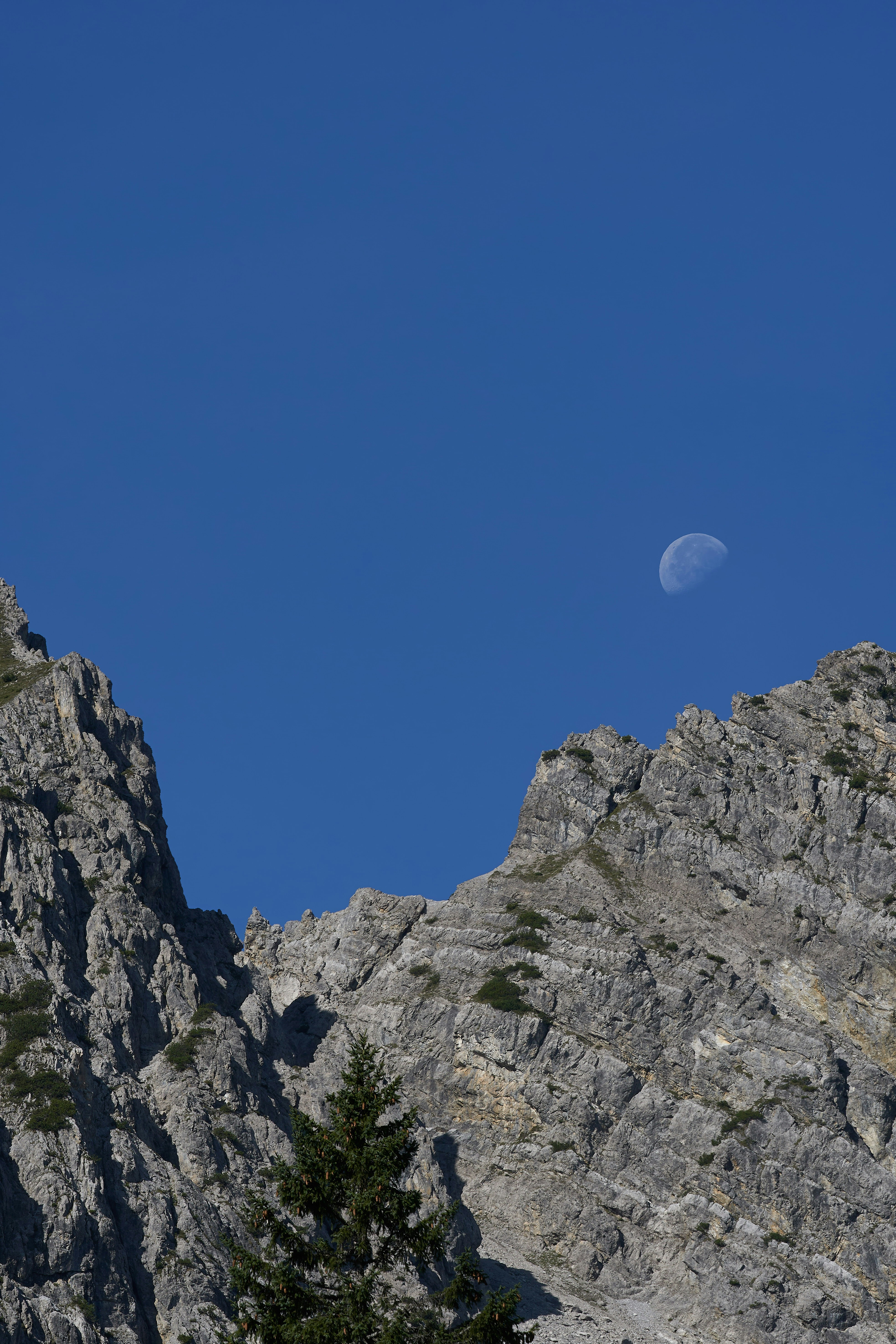 Photo by wolfgang_hasselmann