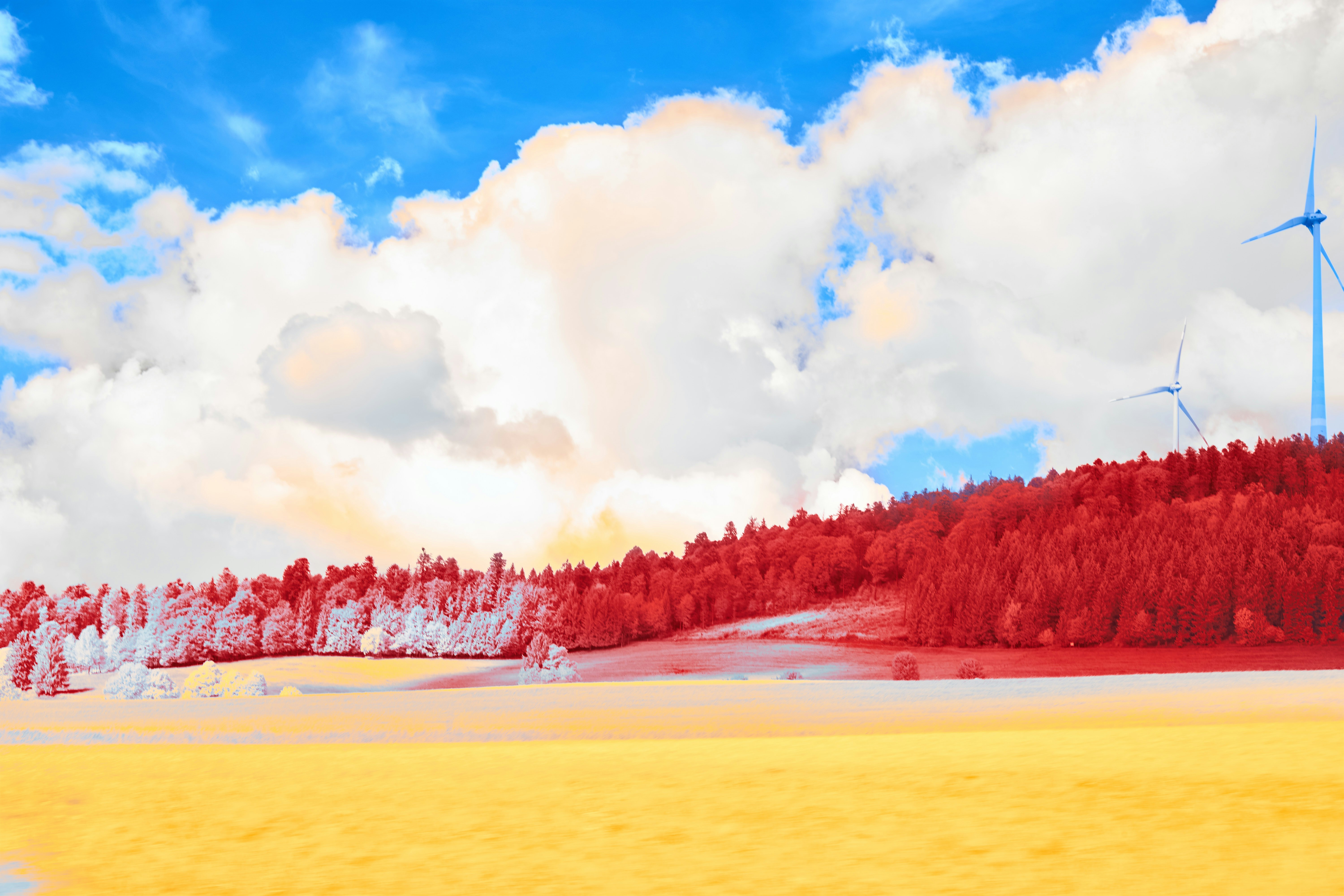 Photo by wolfgang_hasselmann