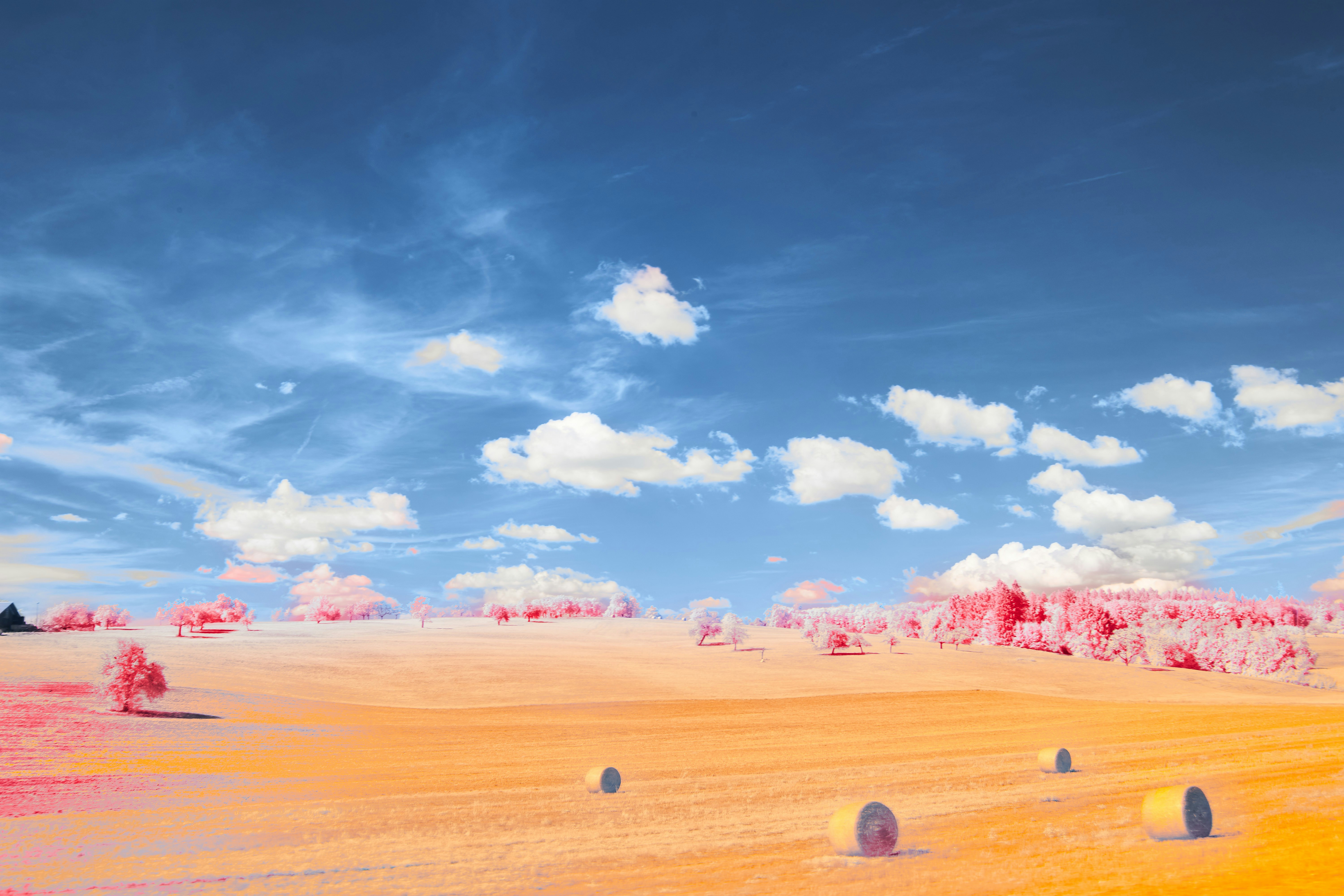 A field with hay bales under a blue sky photo – Free Scenery Image on ...