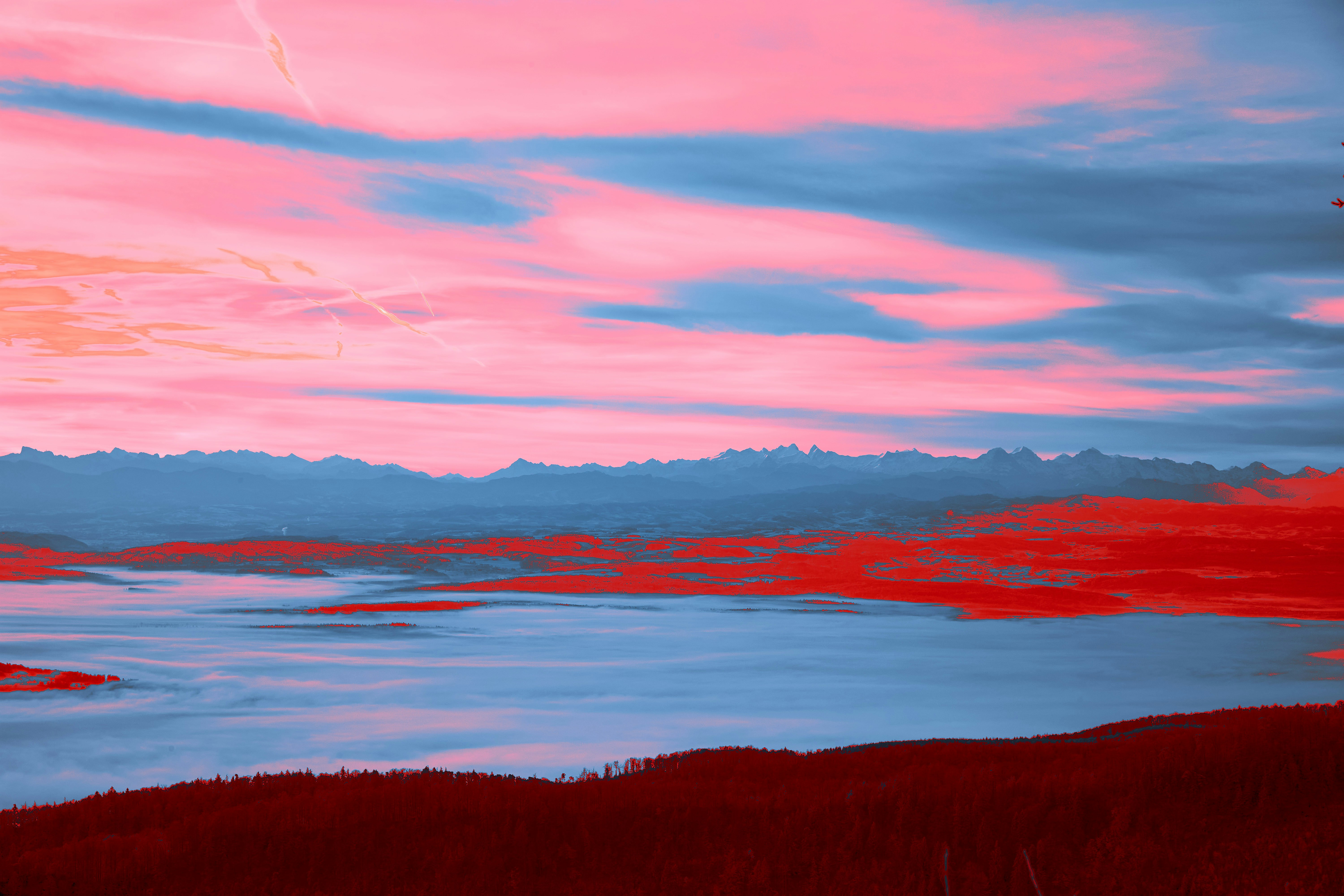 Photo by wolfgang_hasselmann