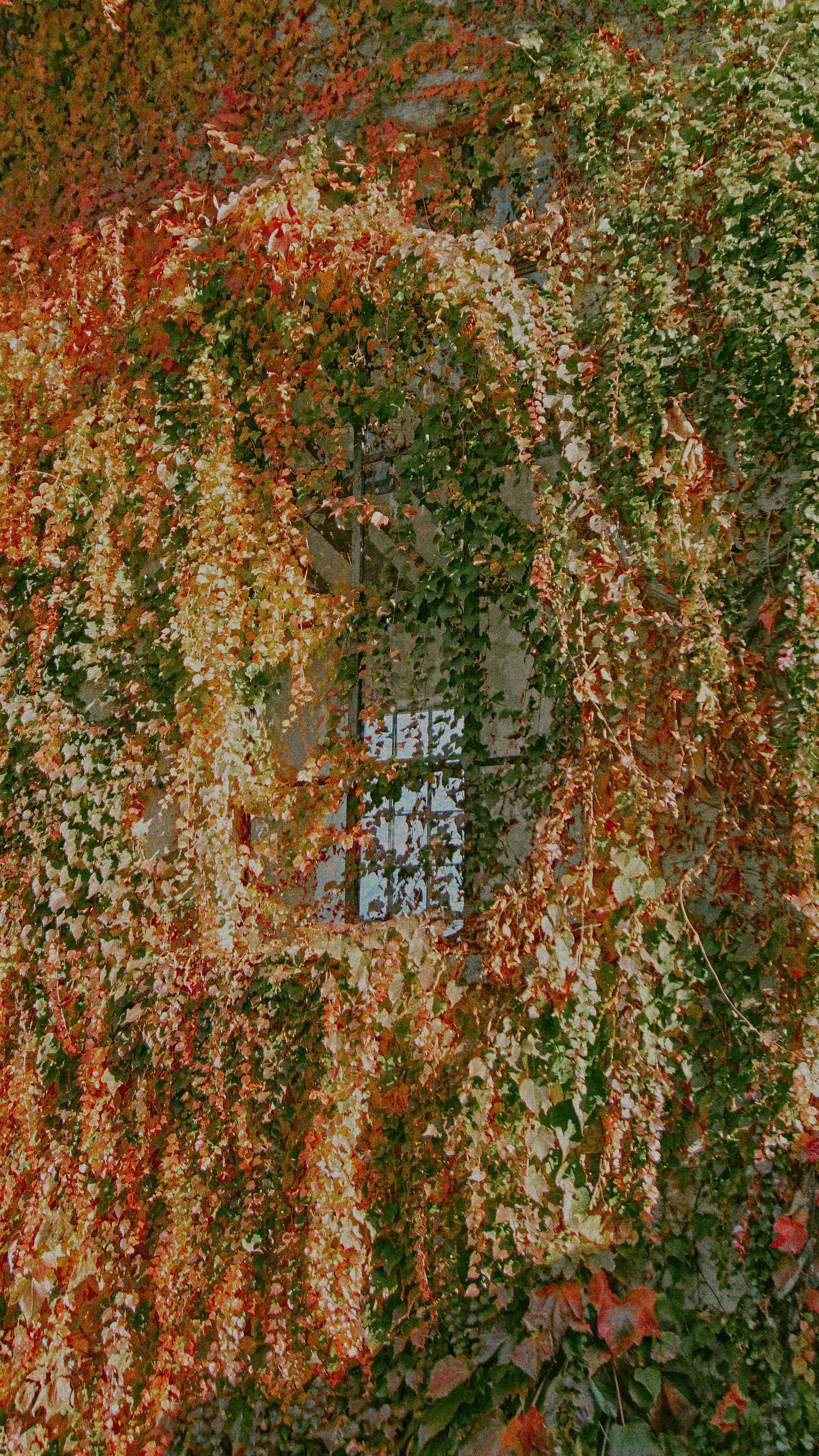 A building covered in lots of green and red plants