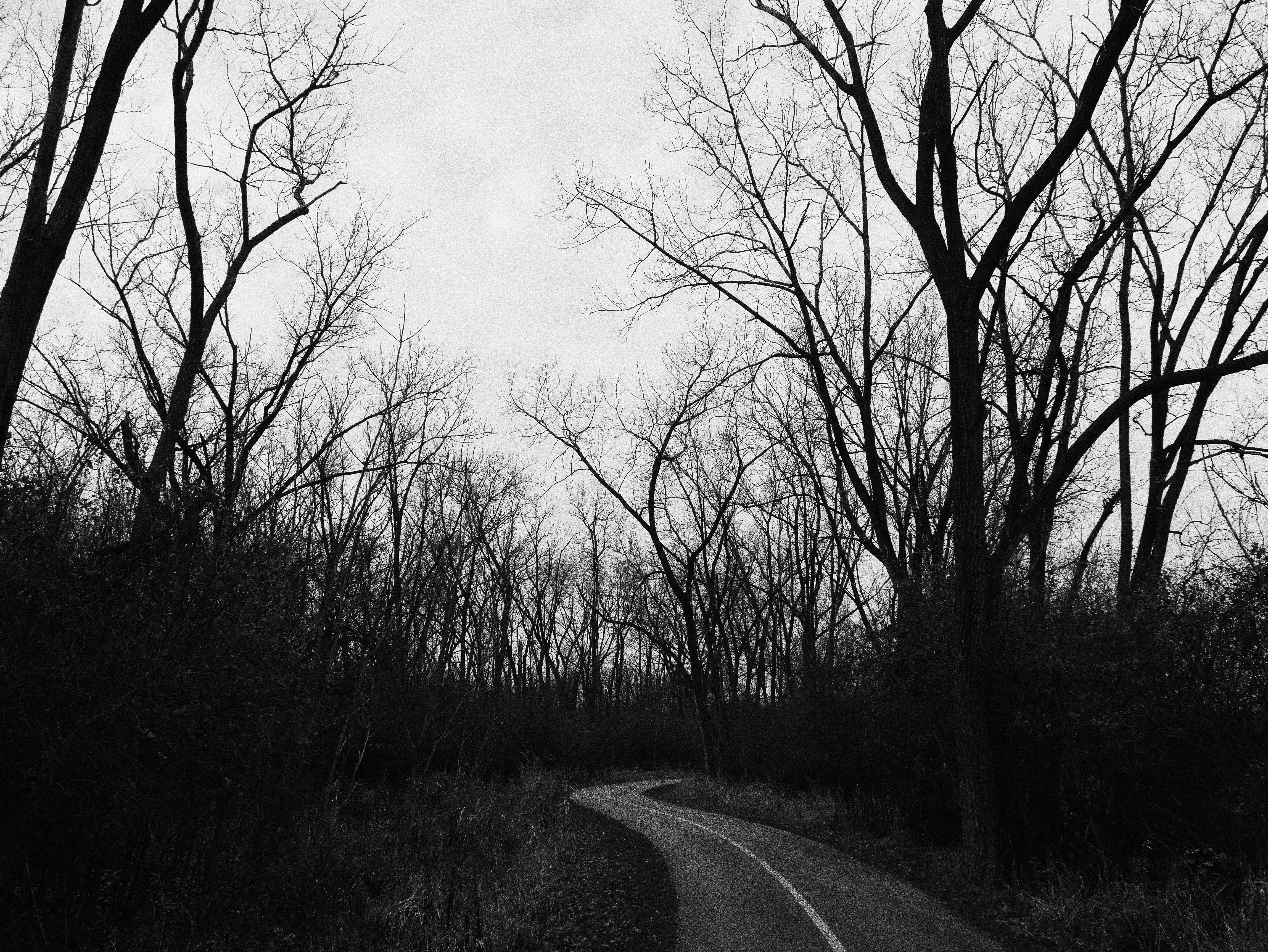 Photo by moosehead1051