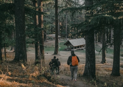 A group of people walking through a forest