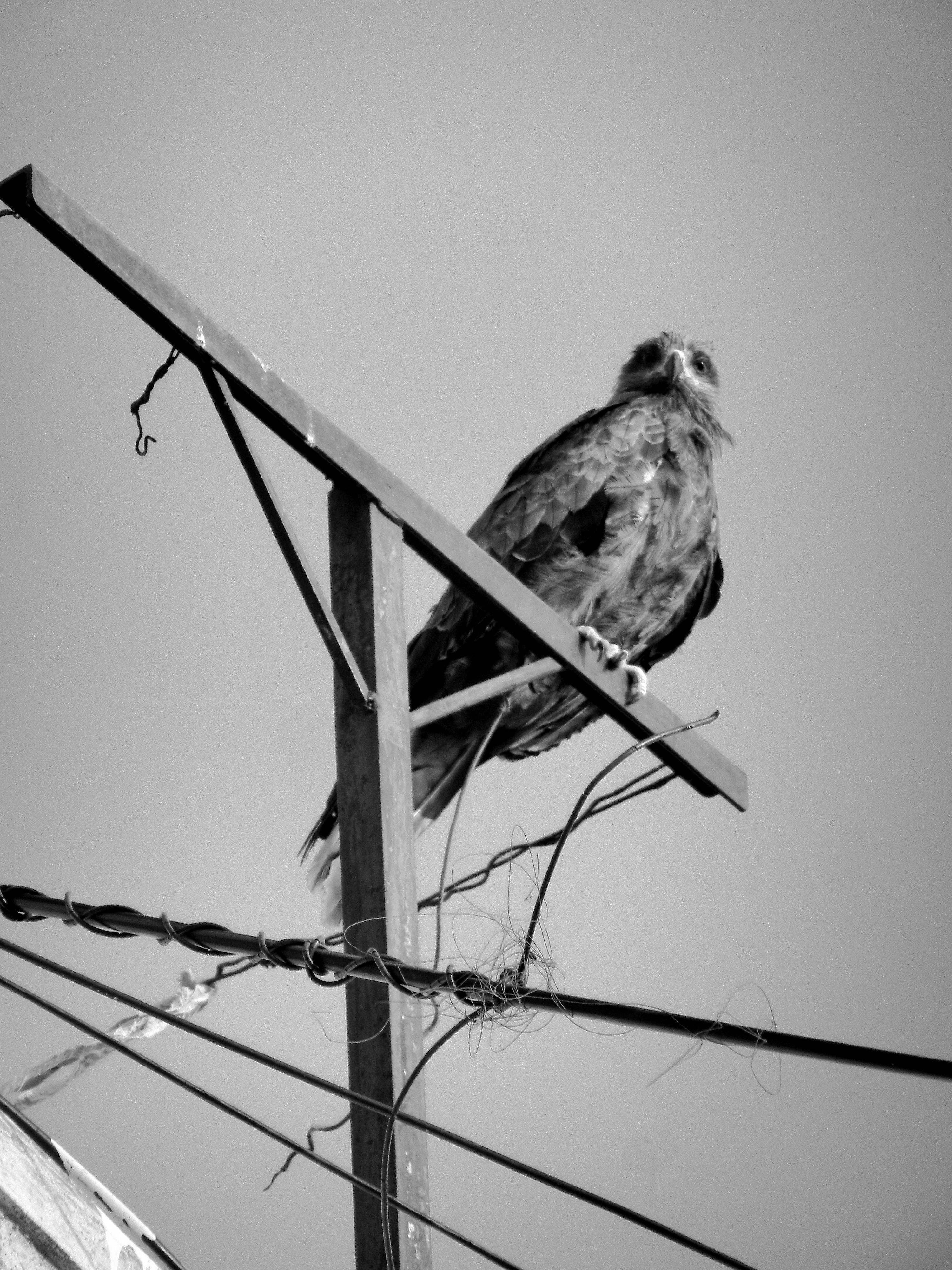 Photo by 5zantrigger