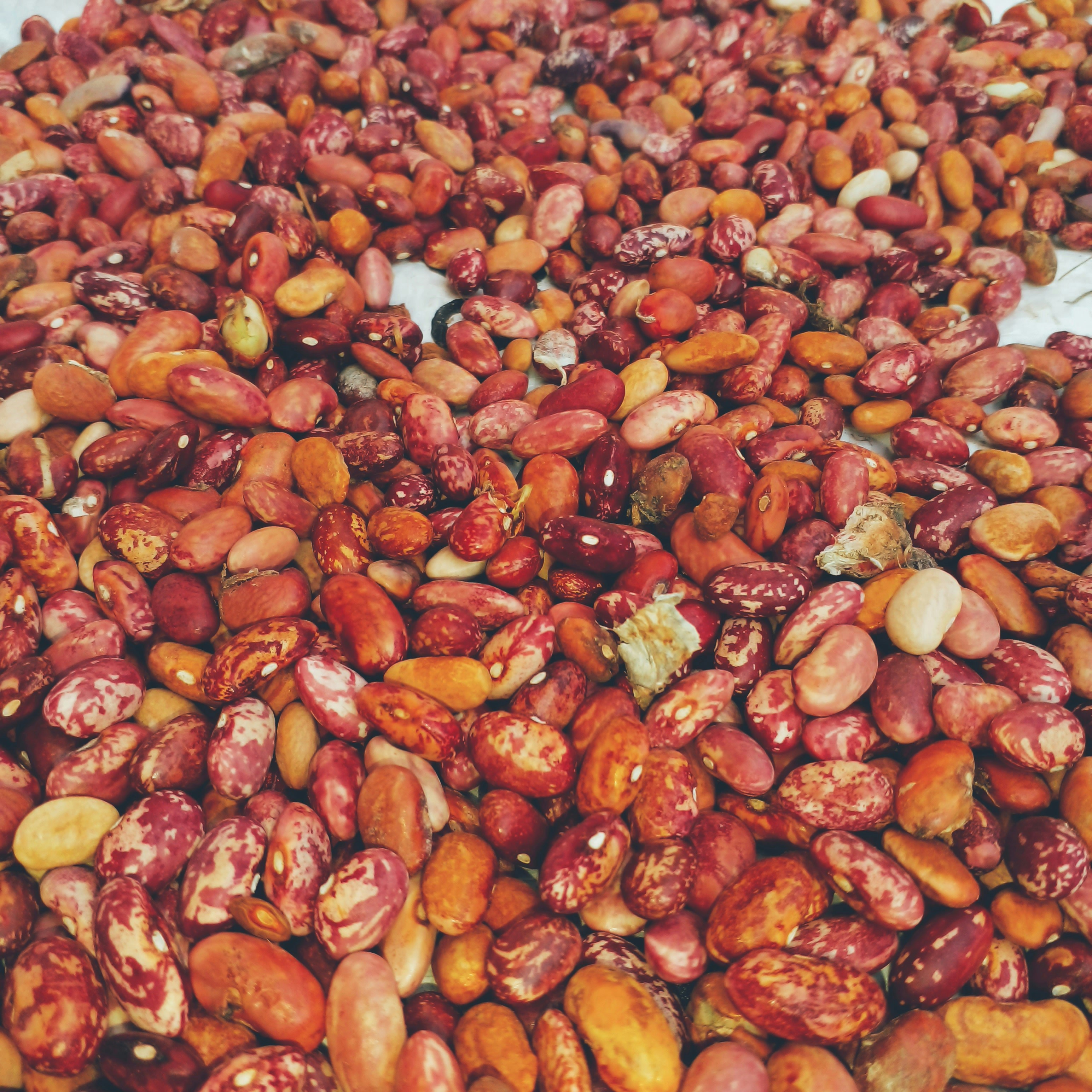 Assorted dried beans and legumes including black-eyed peas and kidney beans
