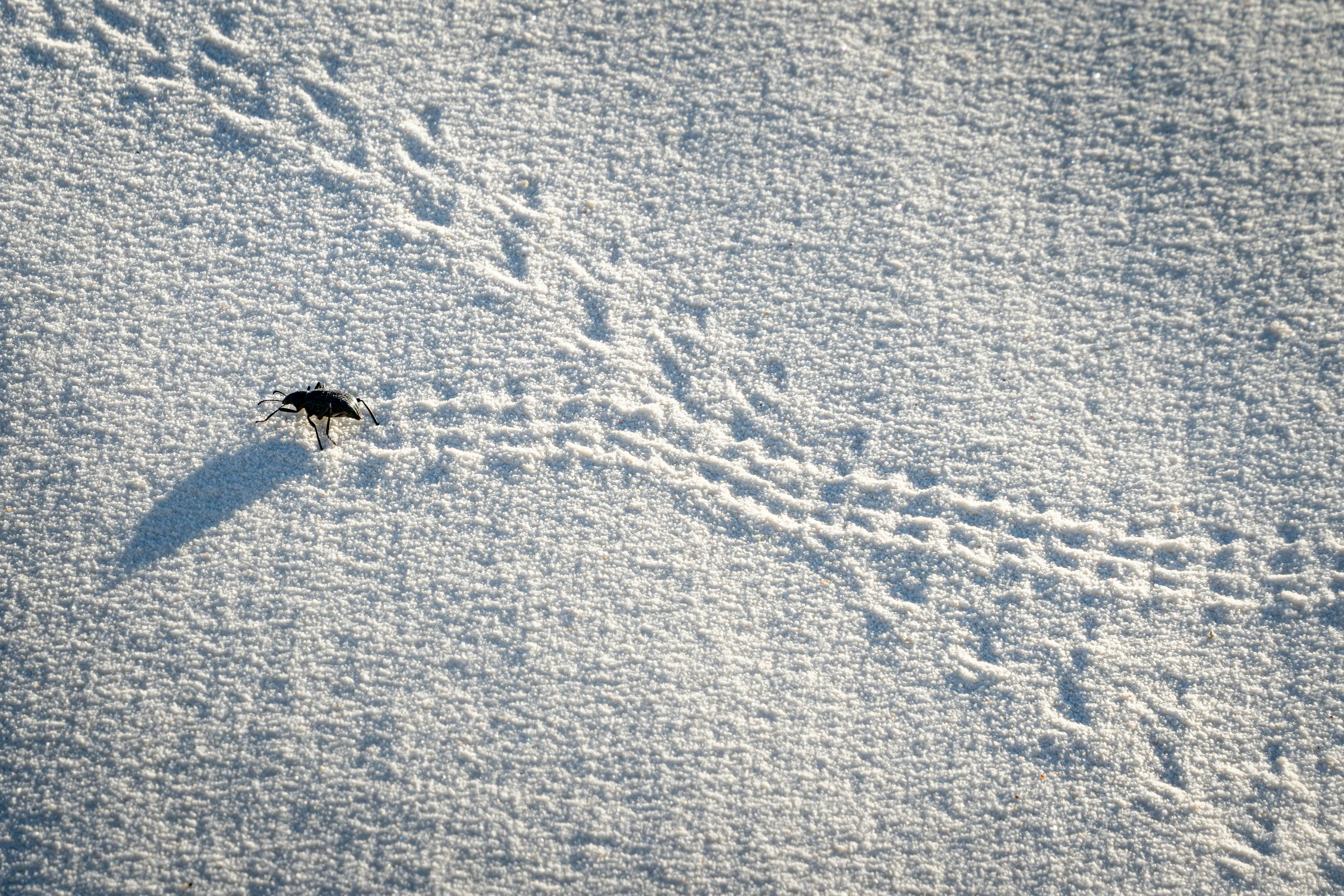 The Hidden Clues (image credits: unsplash)