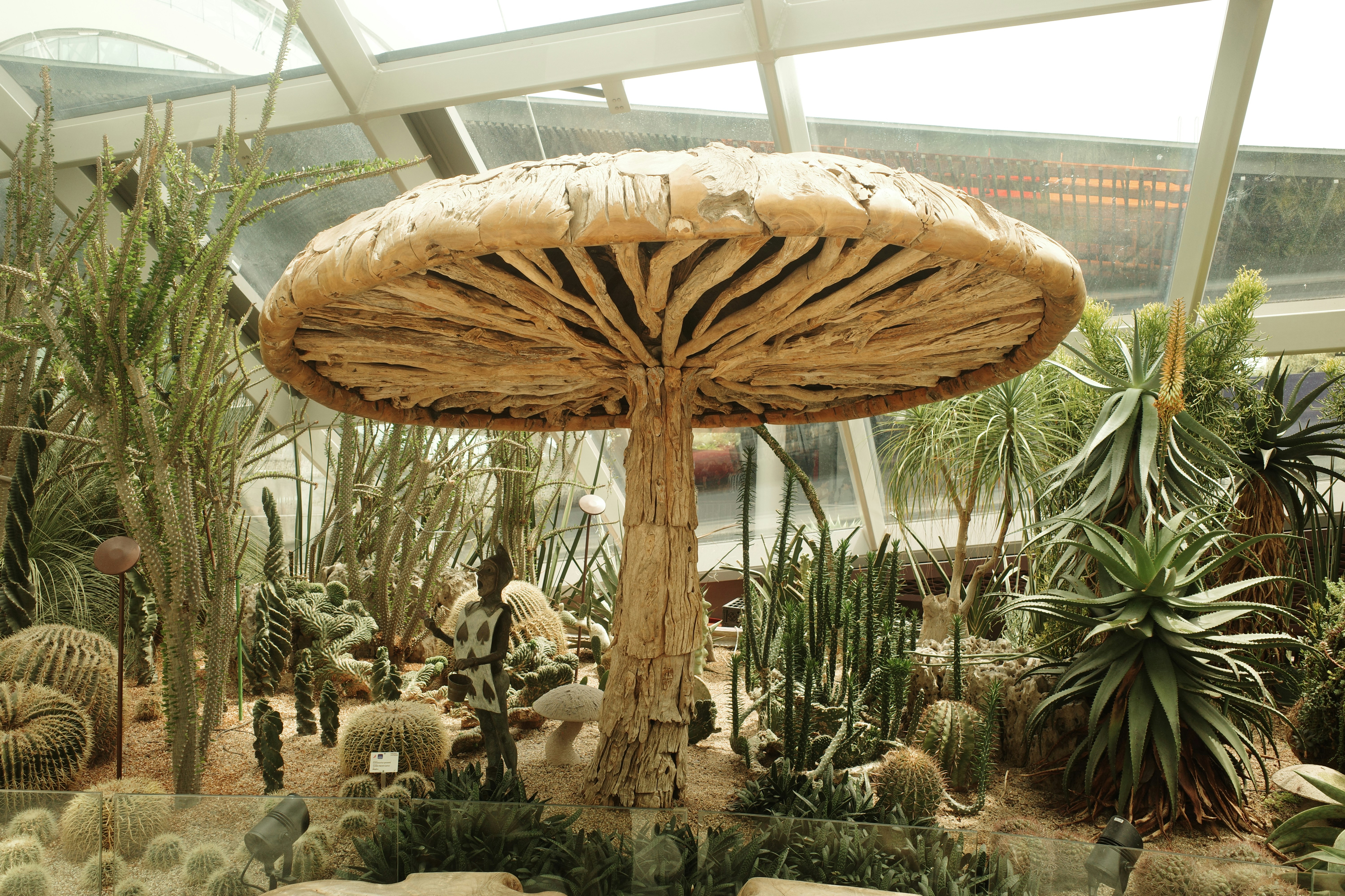 A group of plants that are inside of a building