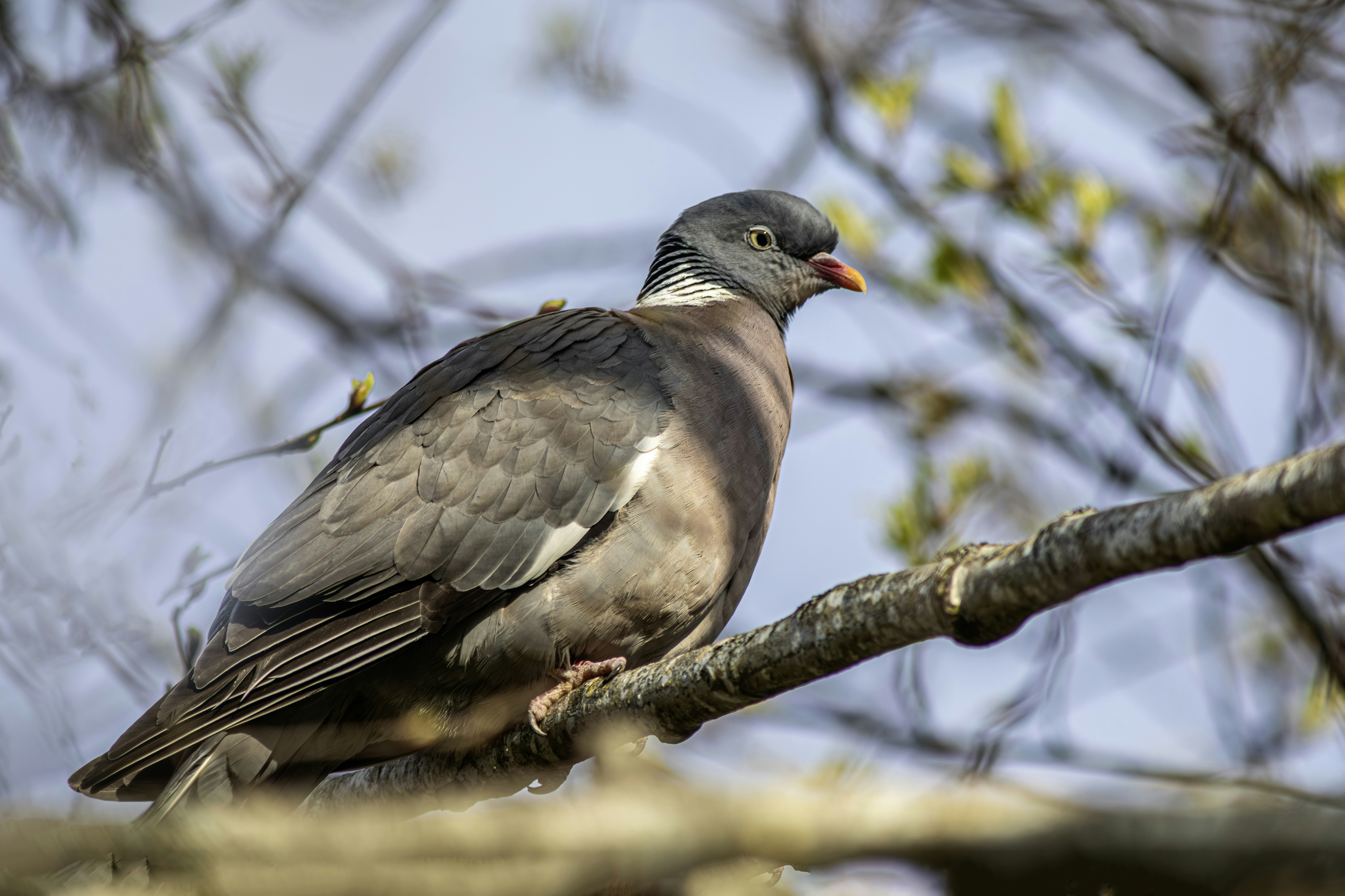 Photo by erik_karits