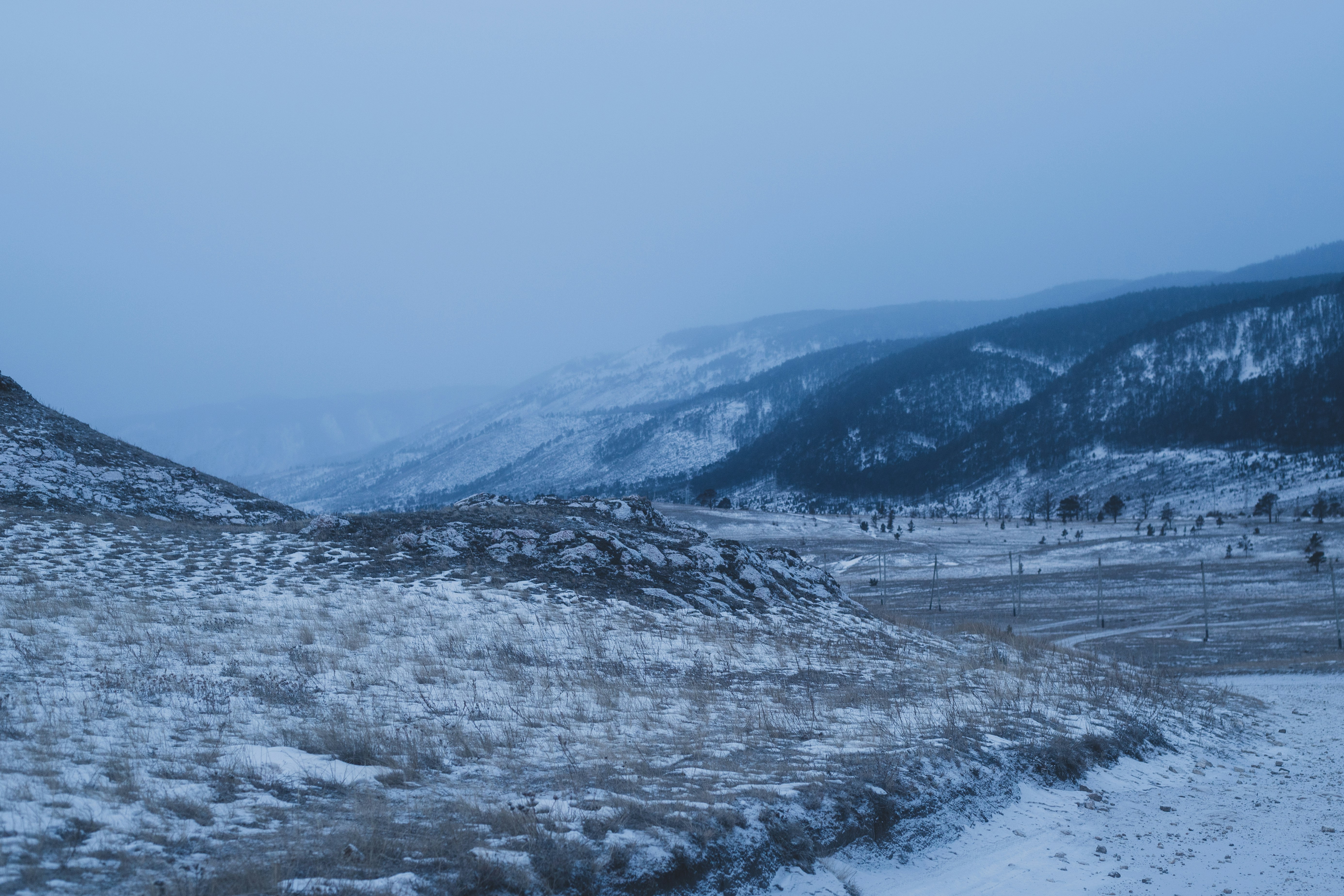 Photo by stef_enheart