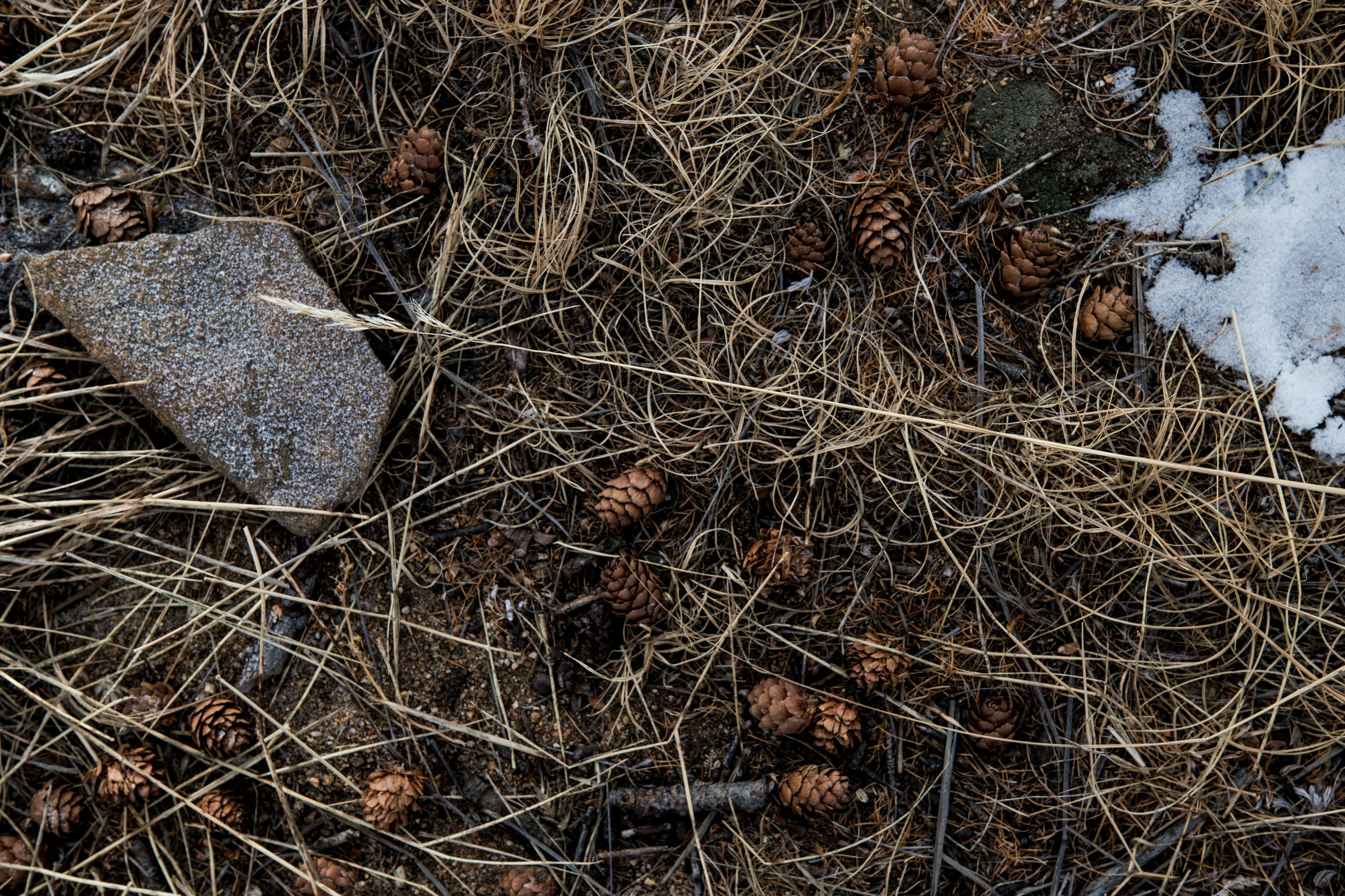 Photo by stef_enheart