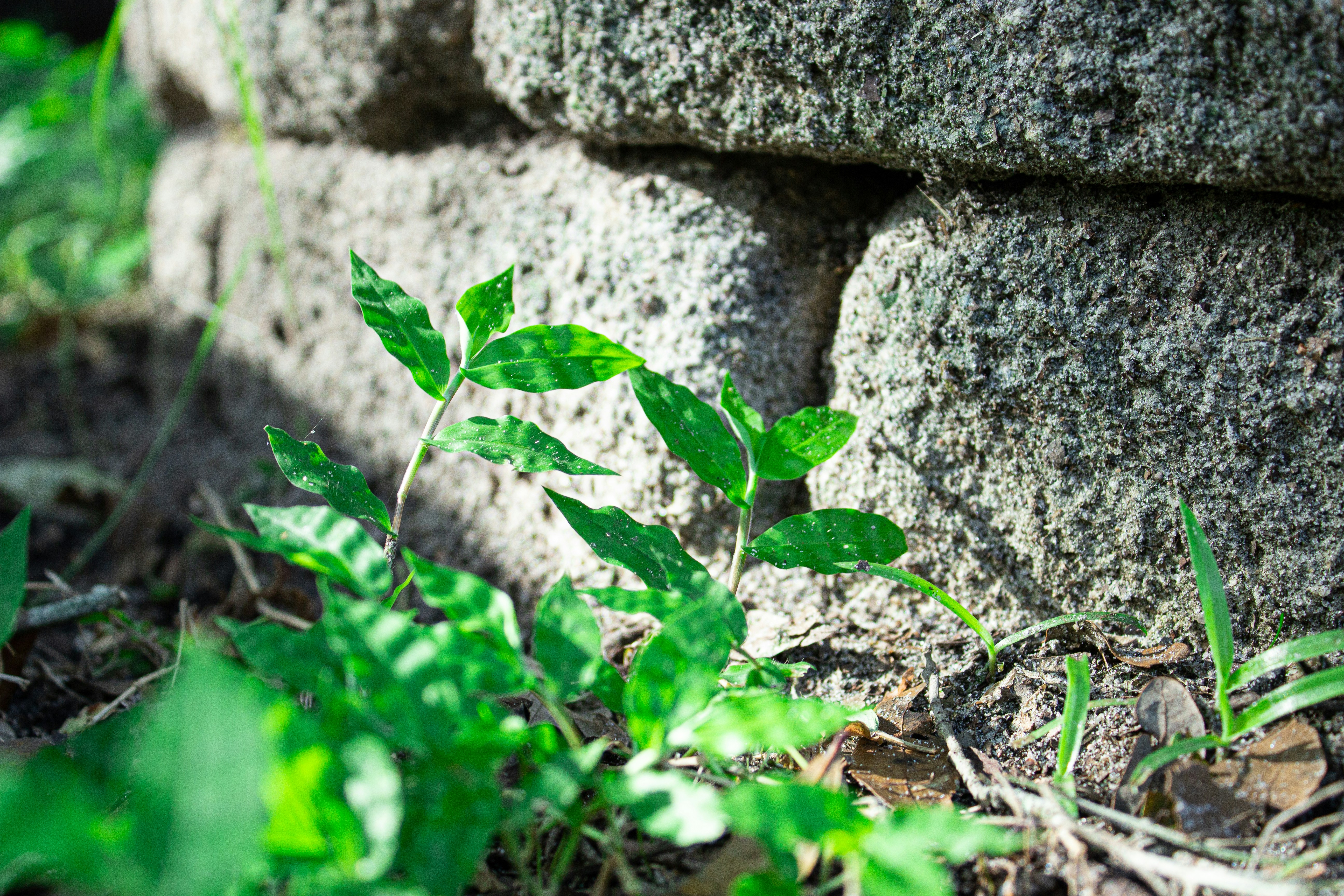 Photo by _jadealexis