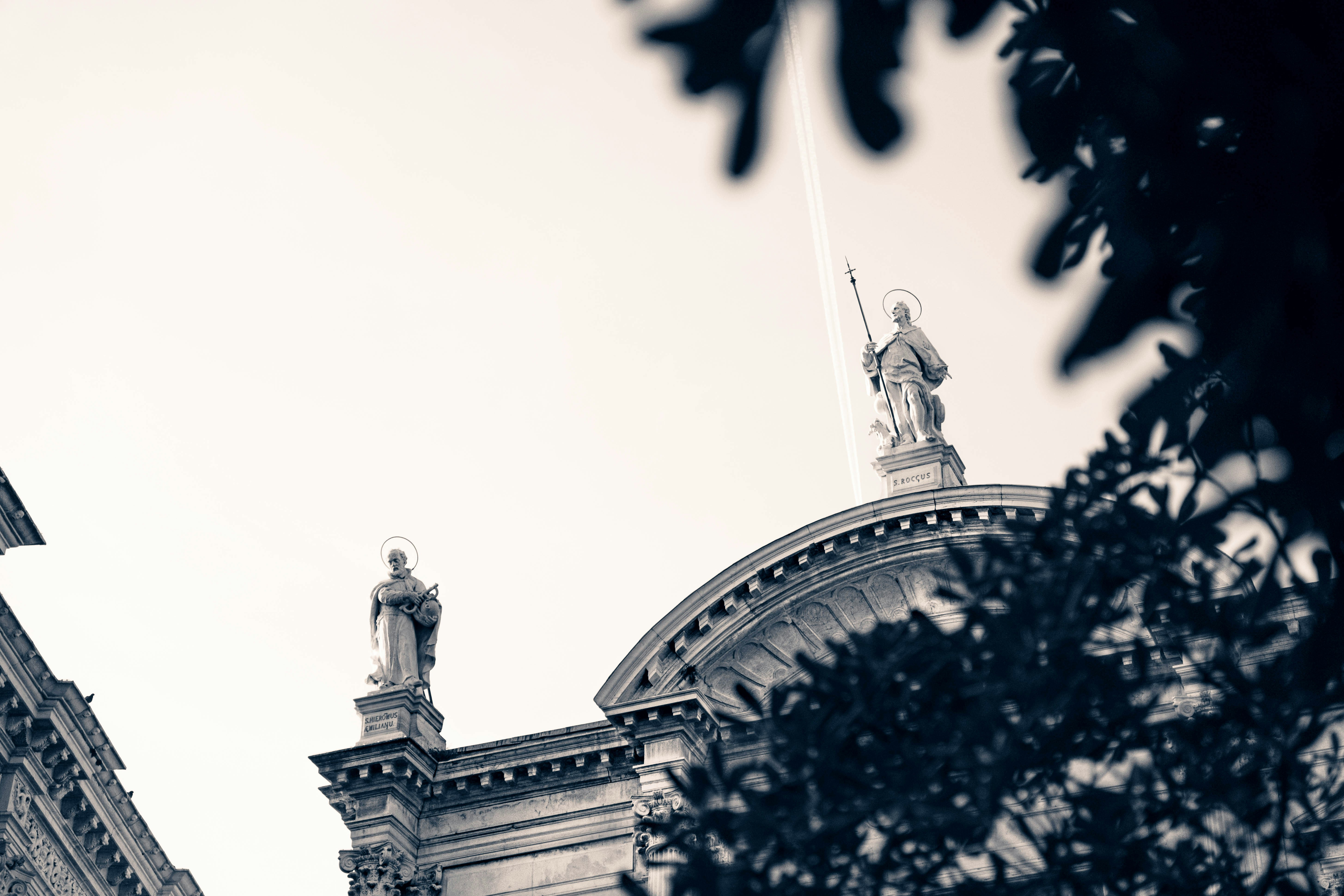 Photo by mikhail_mamaev