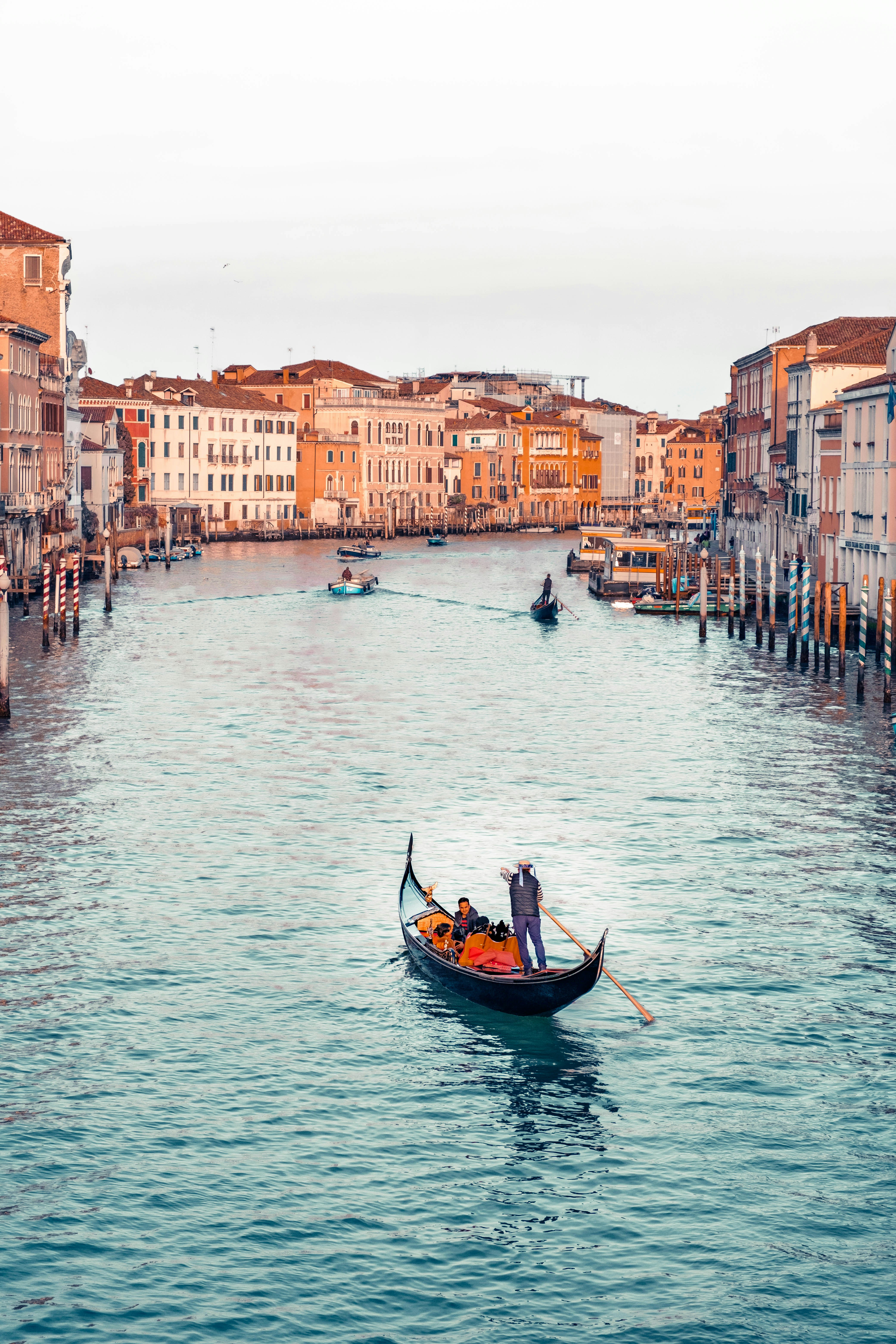 Photo by mikhail_mamaev