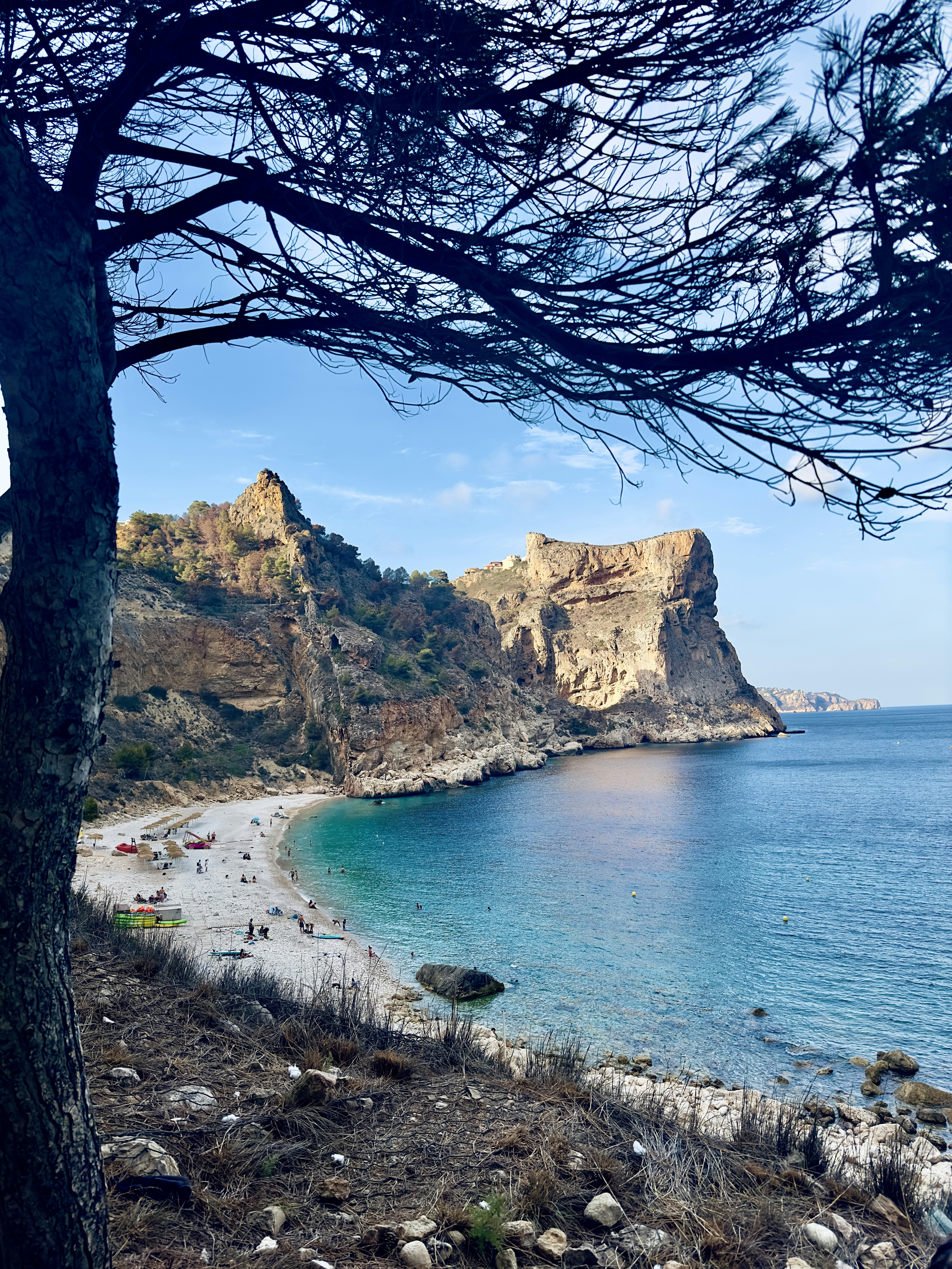 Photo by masoodaslami