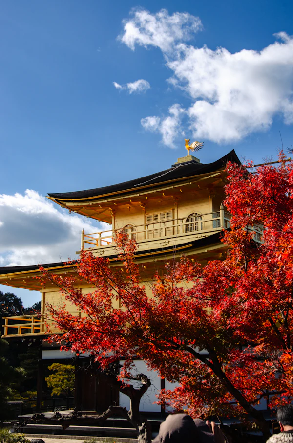 紅葉と寺院（イメージ写真）