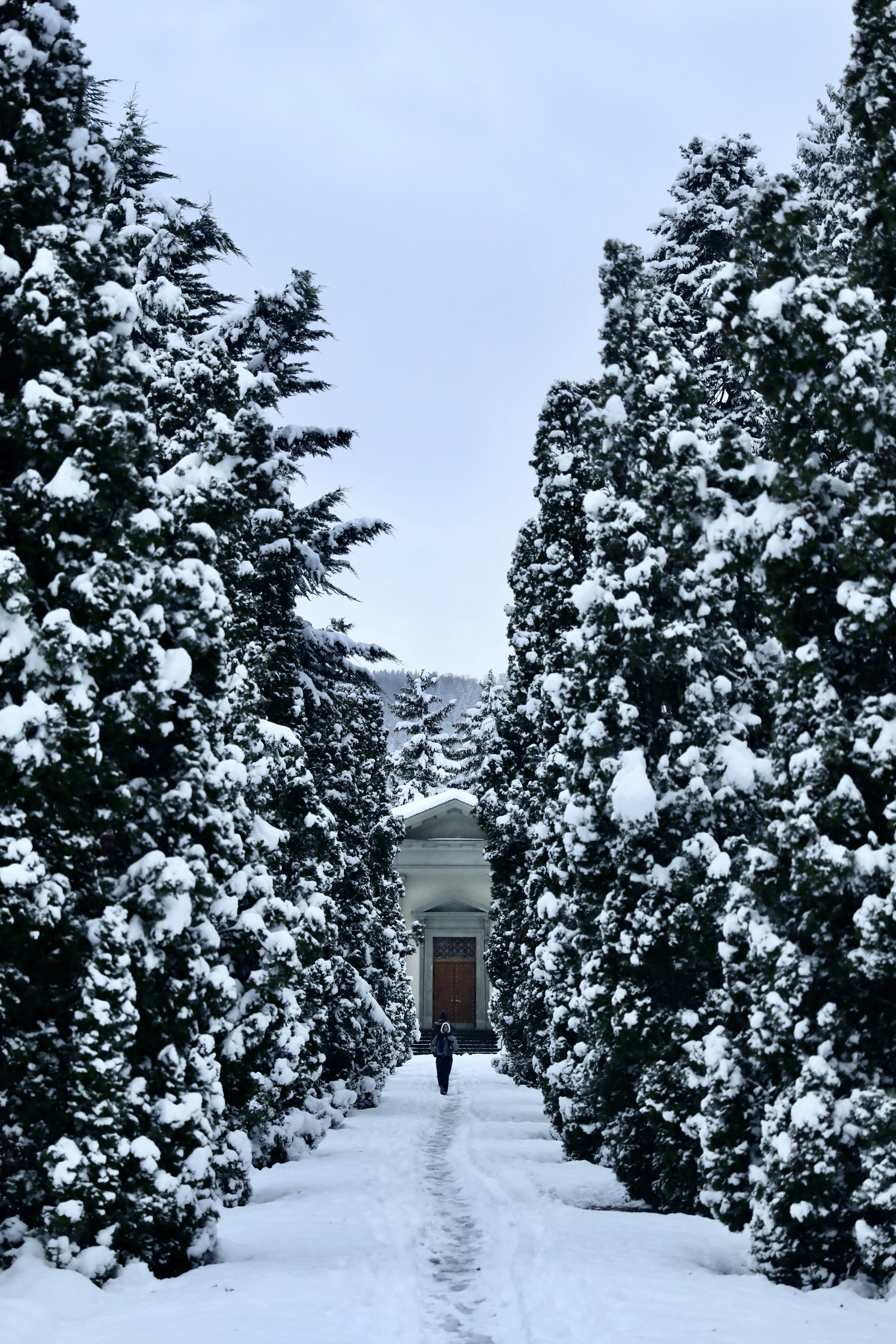 Ein Mann geht einen schneebedeckten Pfad zwischen Bäumen hinunter