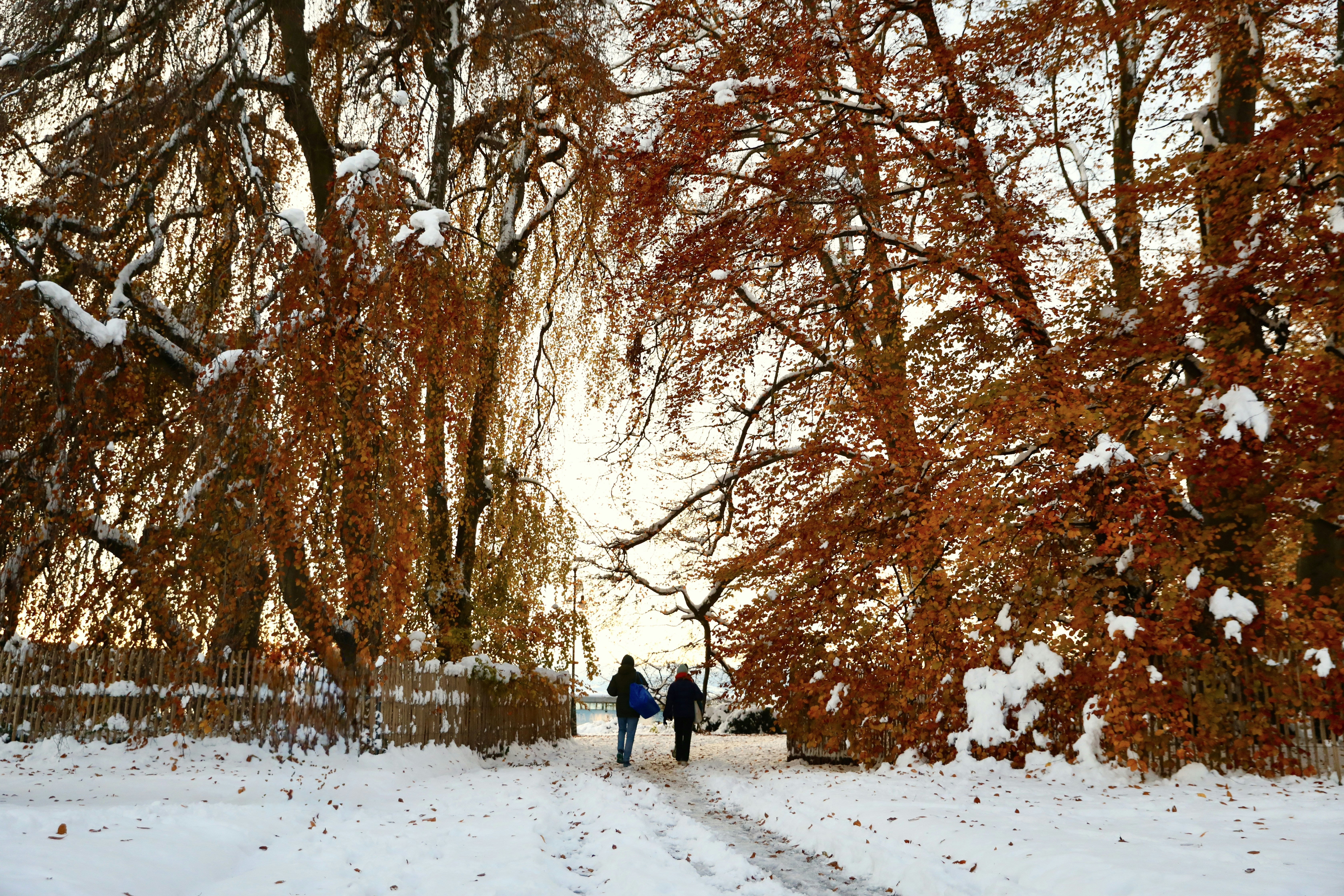 Zwei Menschen gehen eine schneebedeckte Straße hinunter